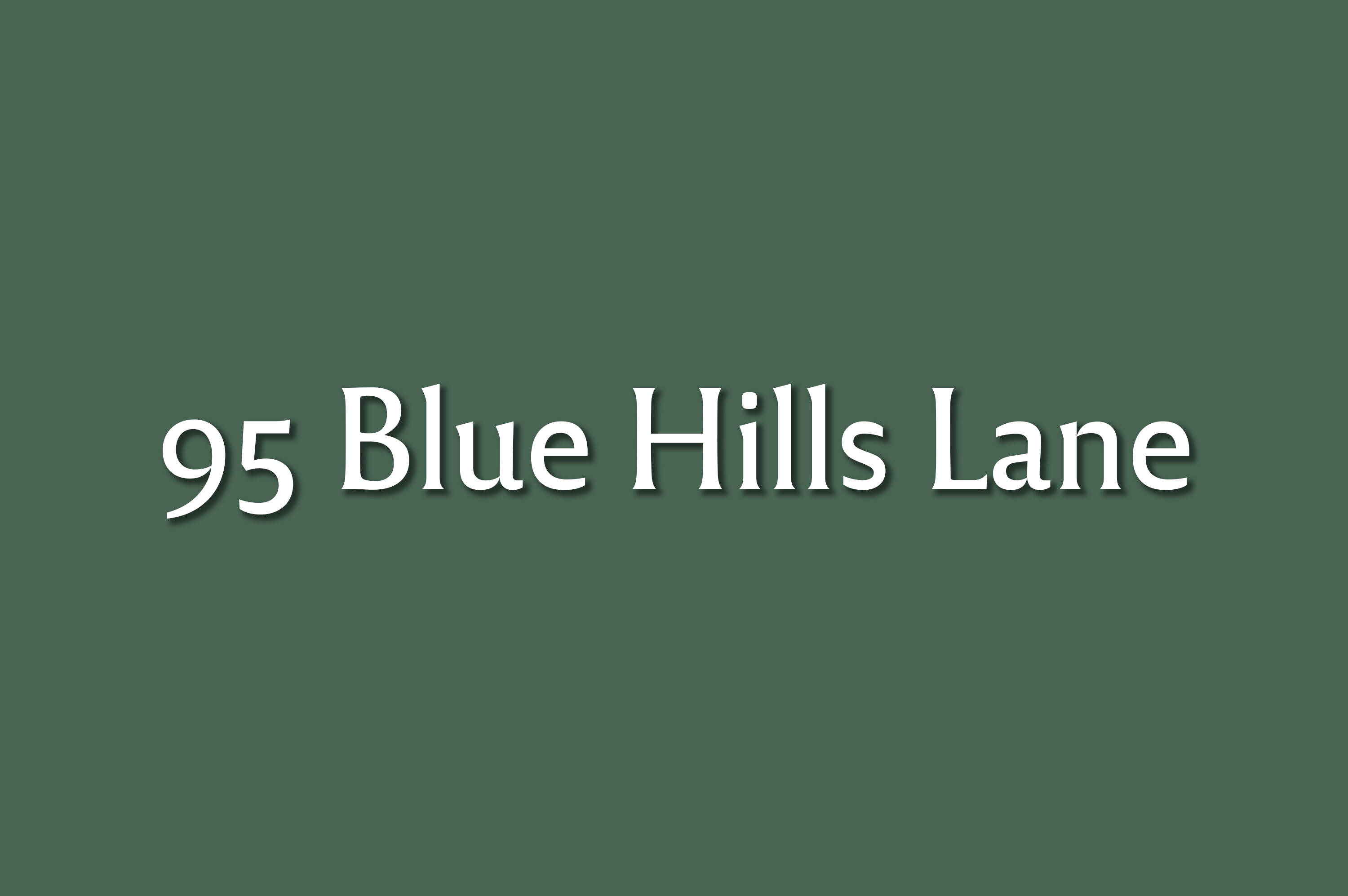 390 Blue Hills Ln