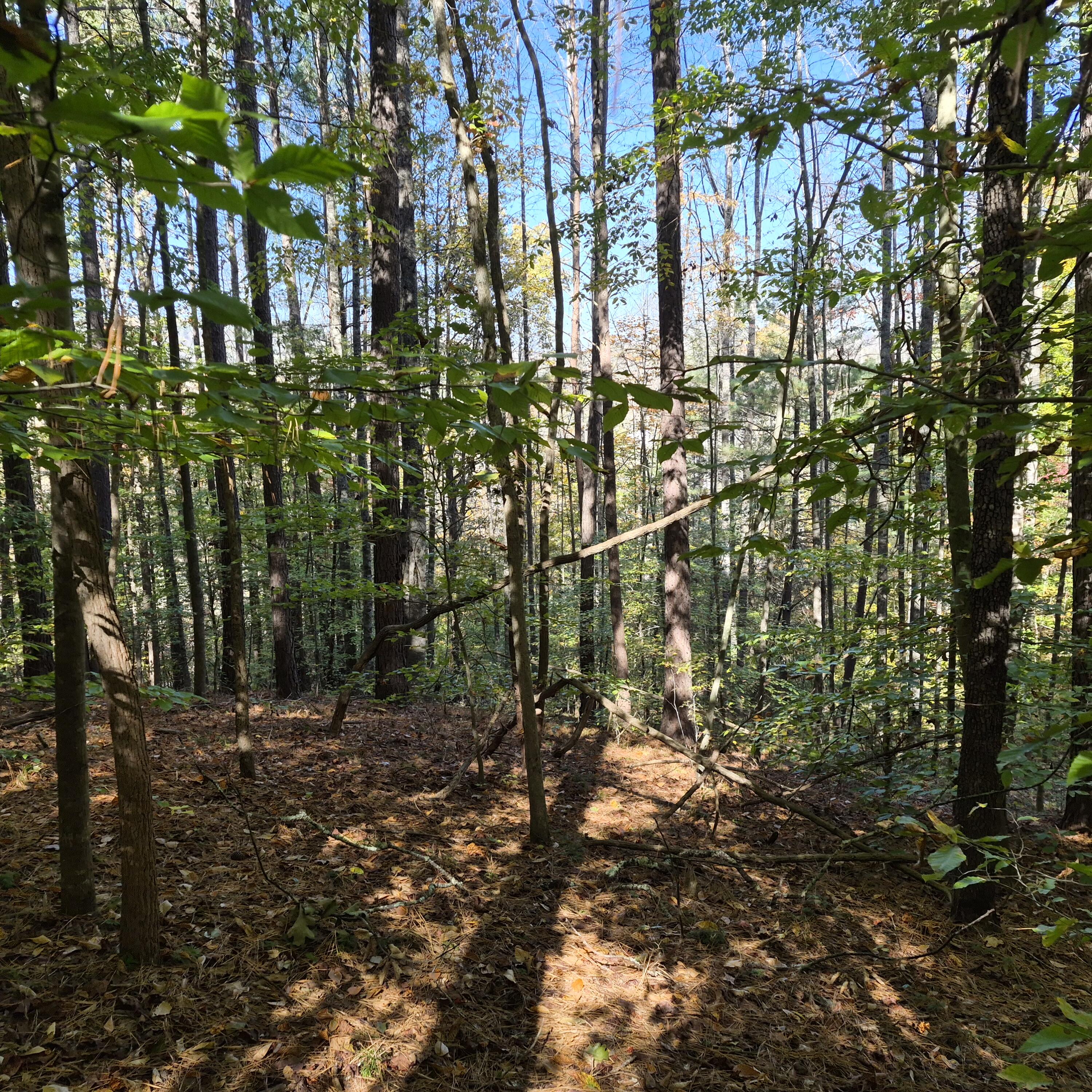 2.4 Acres Riverside Rd