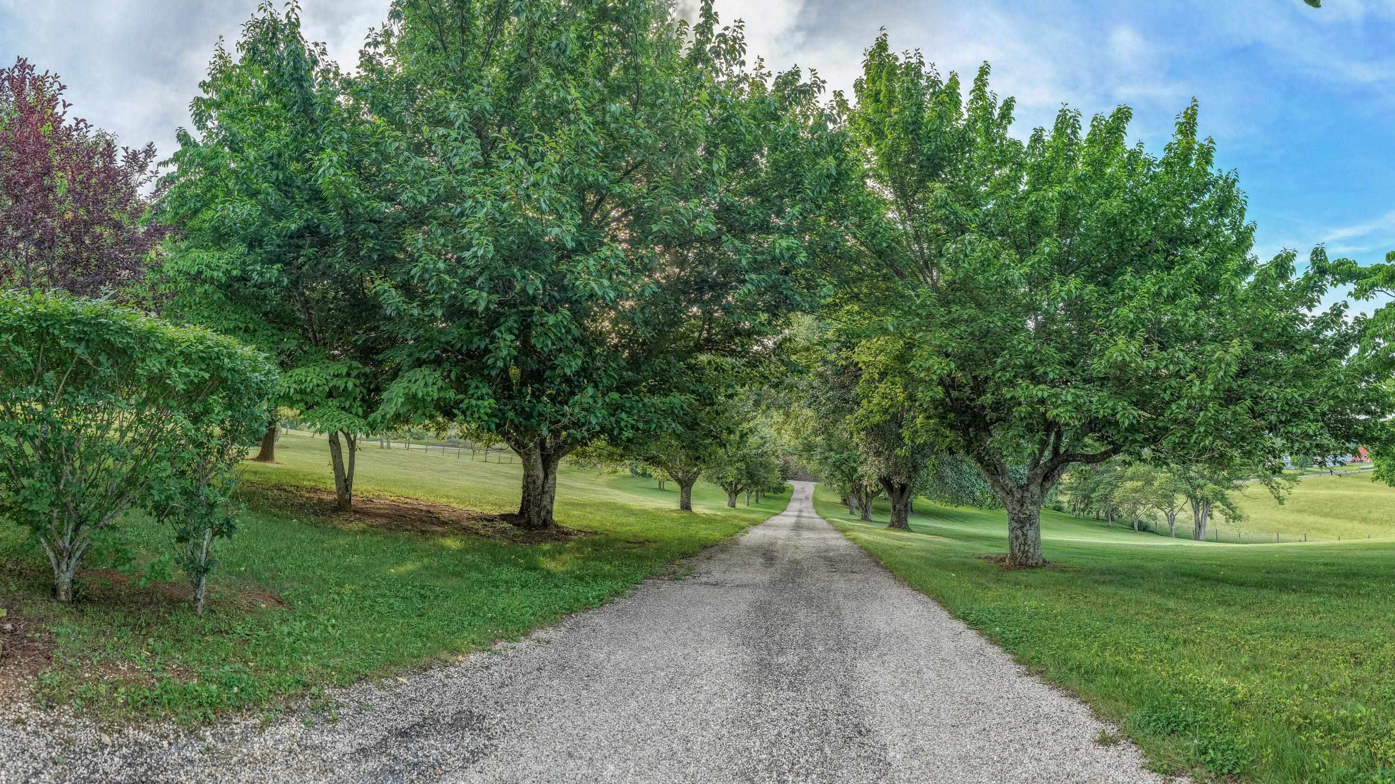 1274 MAURY RIVER RD