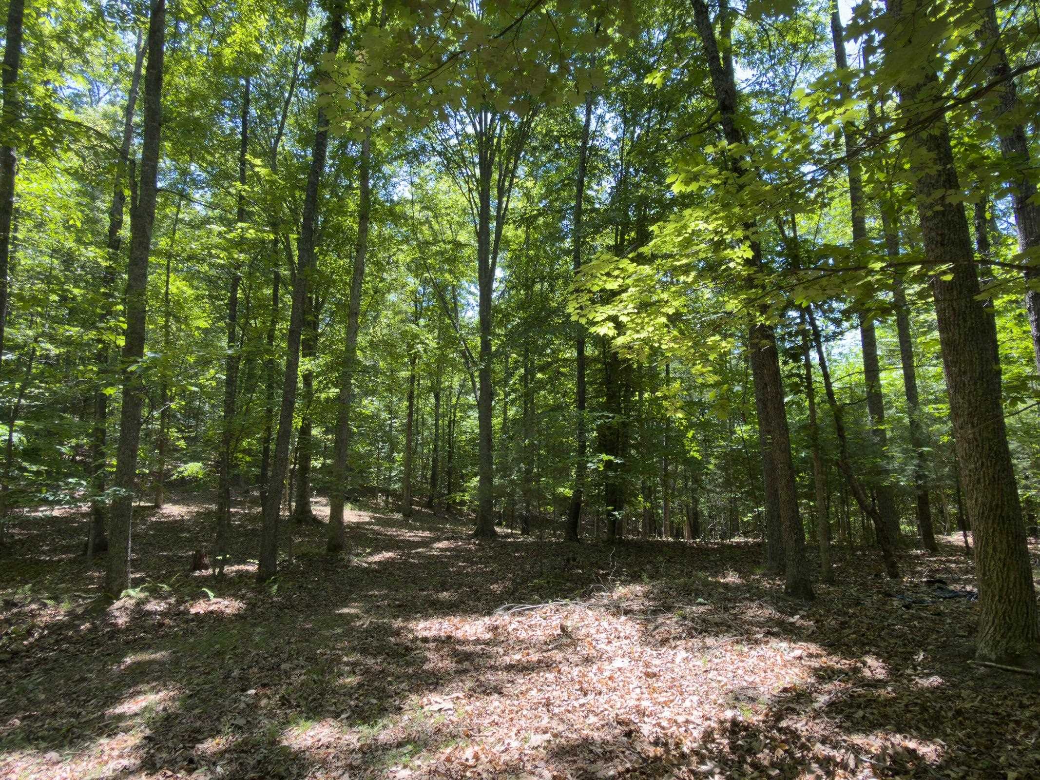 53 & 13 SIDING LN