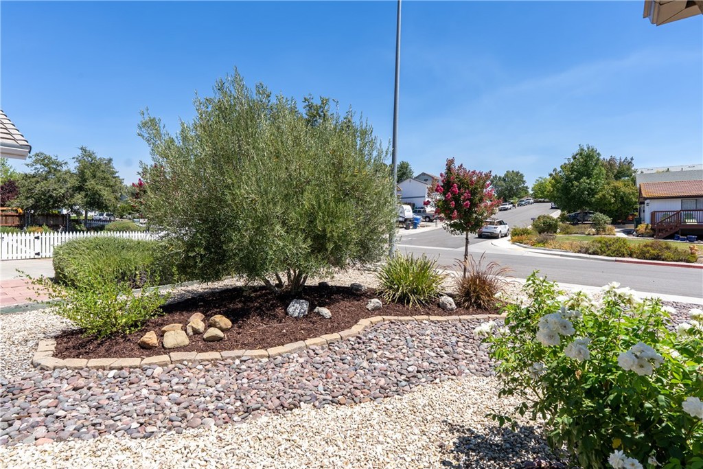 415 Veronica Drive