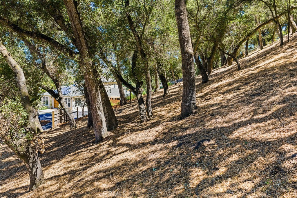 4435 San Jacinto
