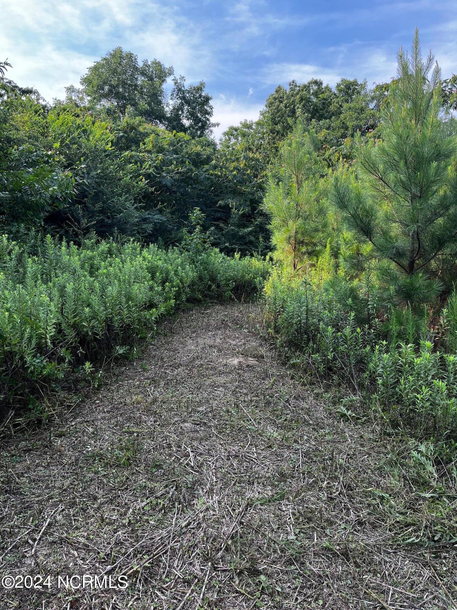 2628 Belgrade Swansboro Road