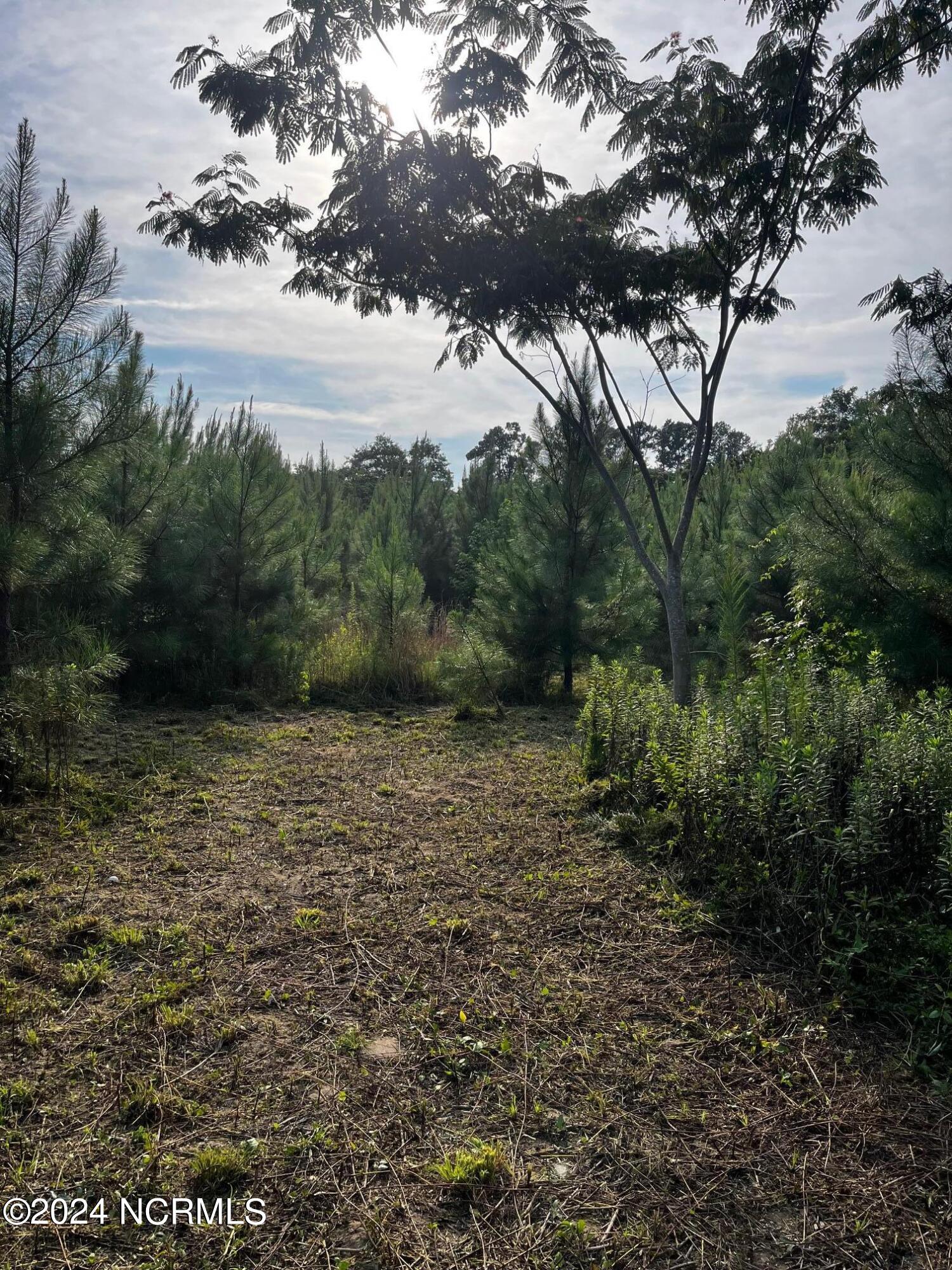 2628 Belgrade Swansboro Road