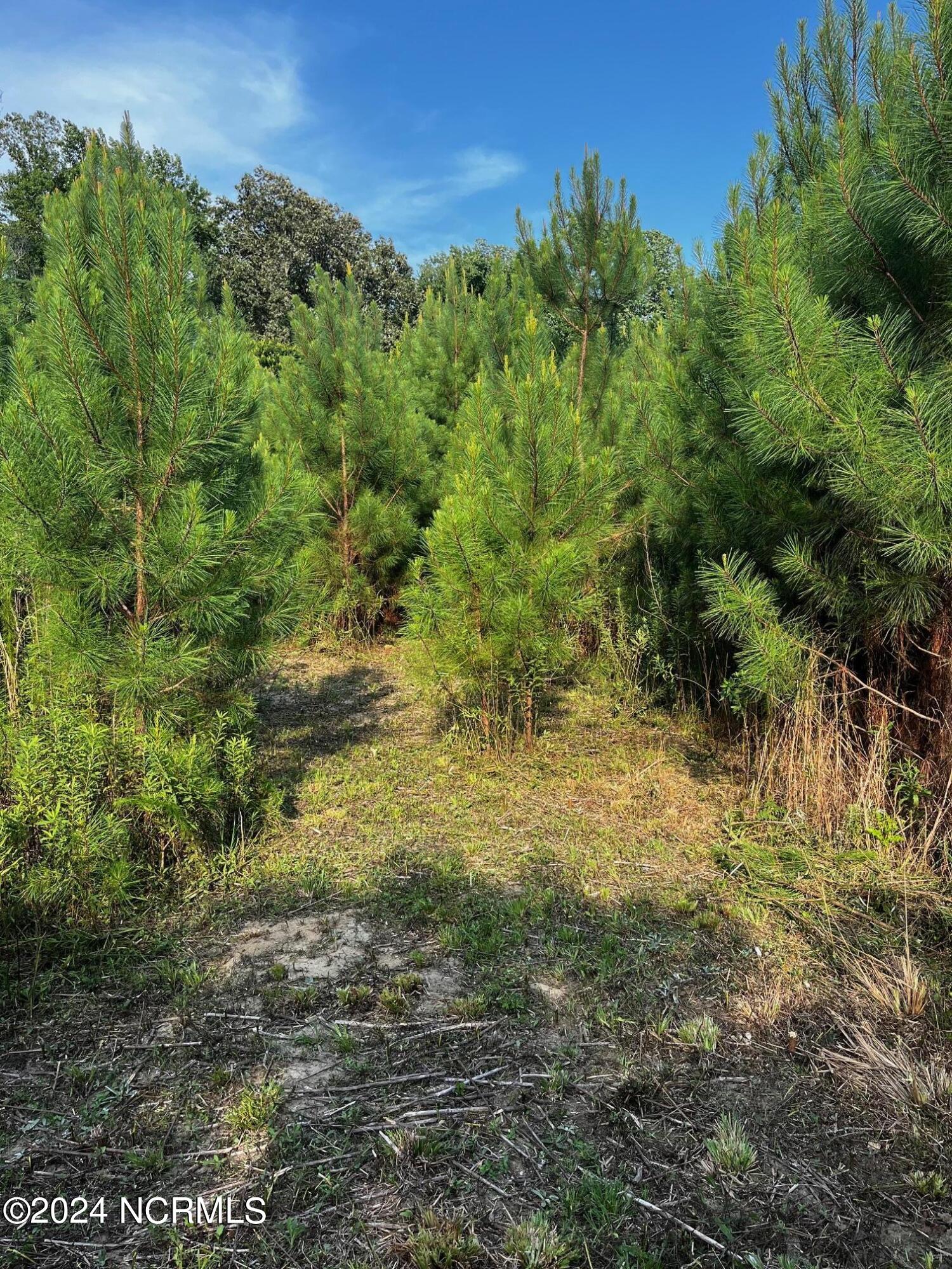 2628 Belgrade Swansboro Road