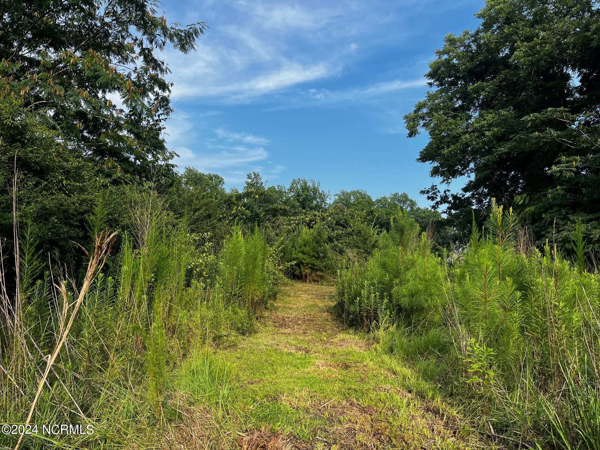 2628 Belgrade Swansboro Road