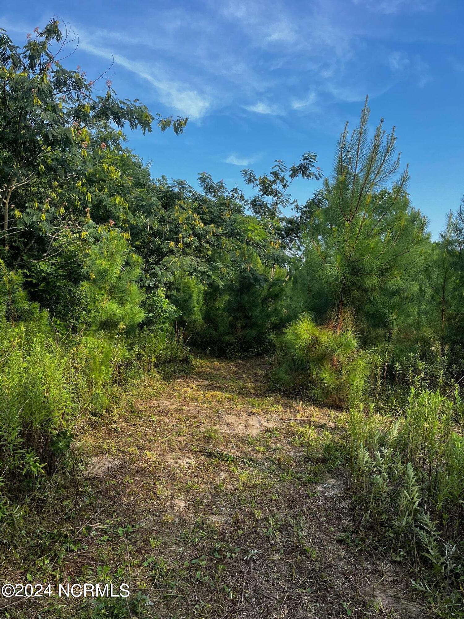 2628 Belgrade Swansboro Road