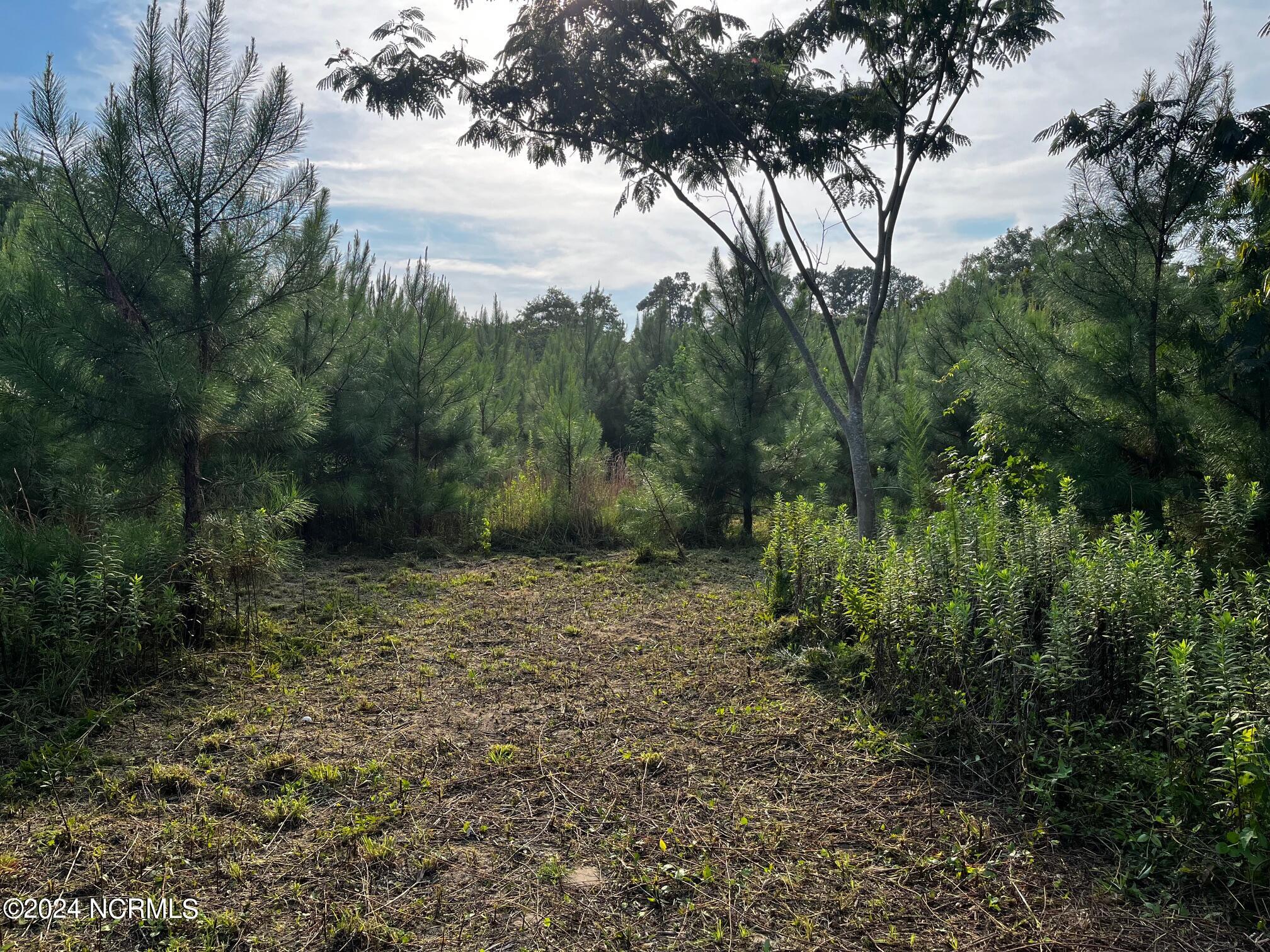 2628 Belgrade Swansboro Road