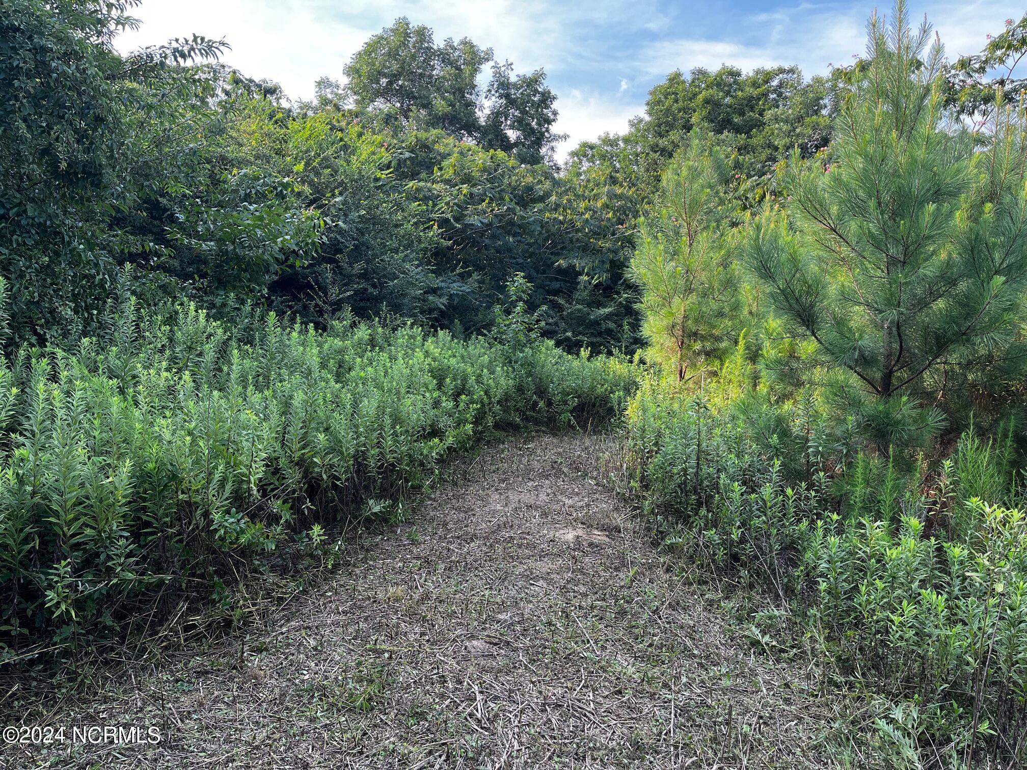 2628 Belgrade Swansboro Road