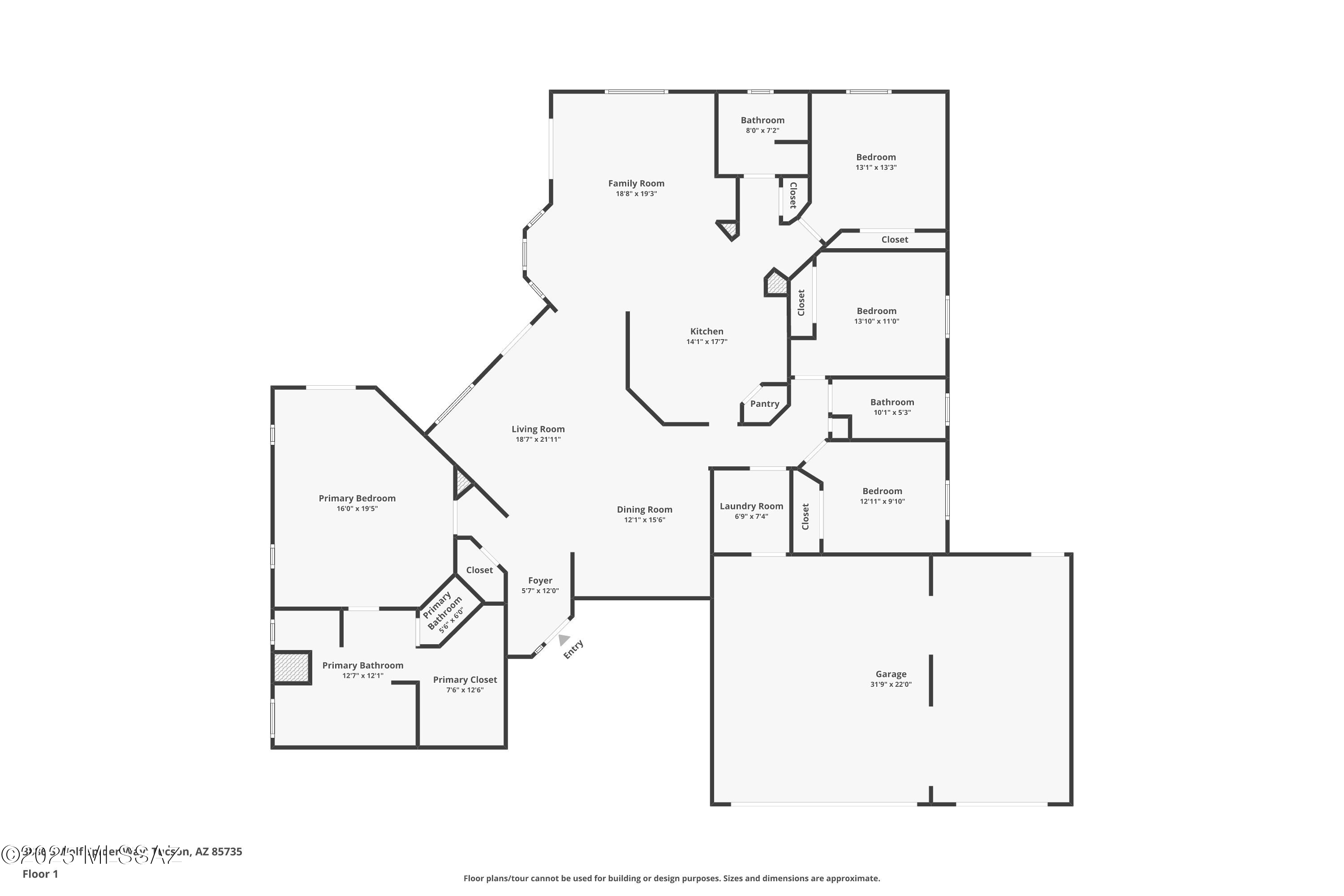 3886 S Wolf Spider Way