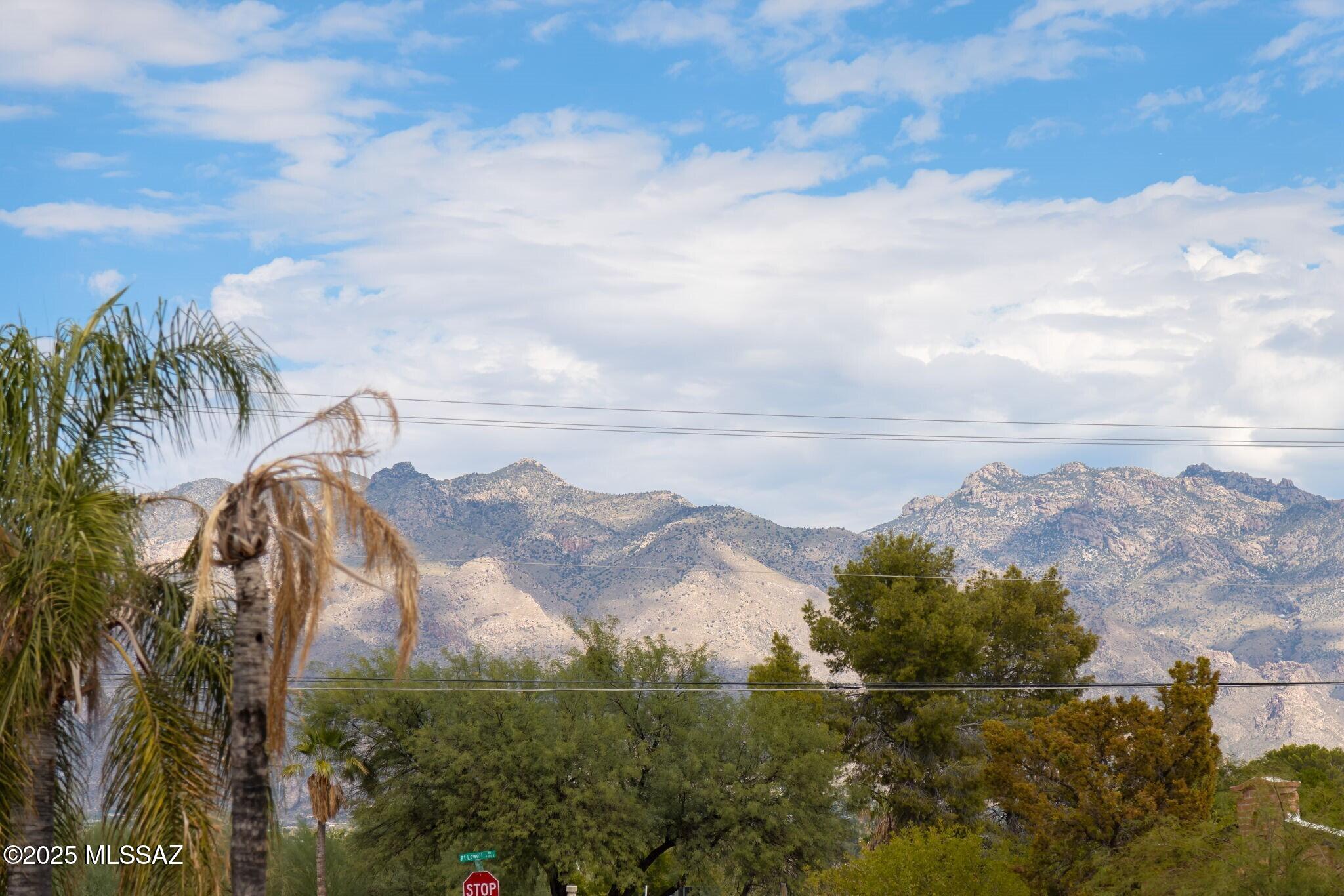 3165 N Vista Del Forte Drive