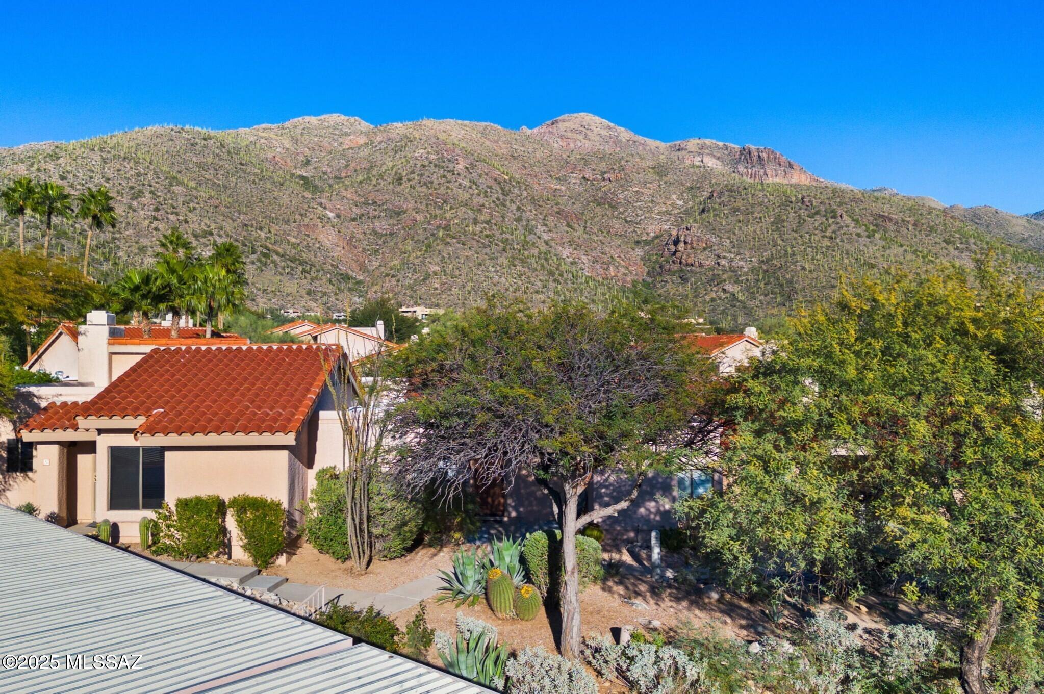 7601 N Calle Sin Envidia 49