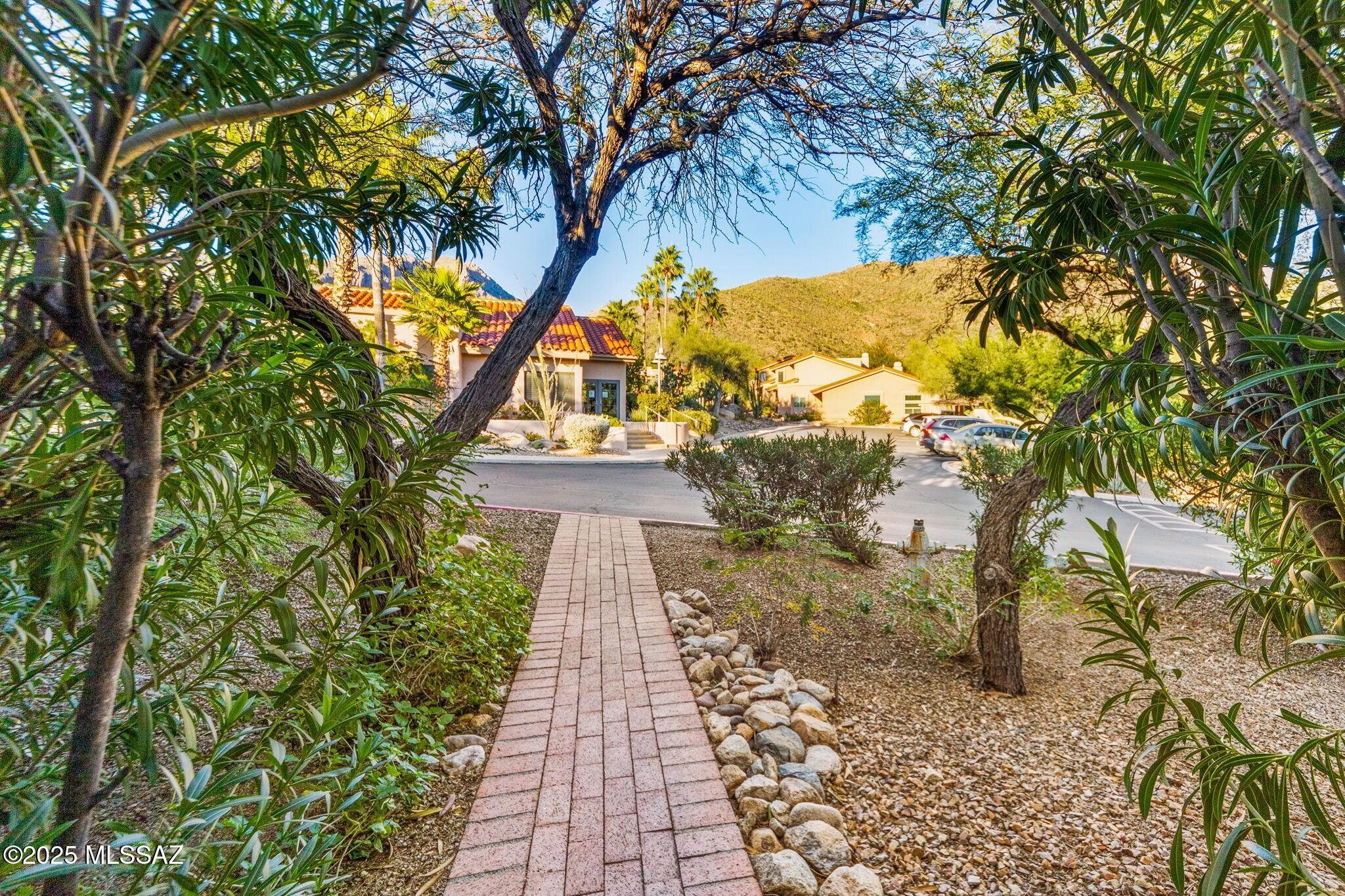 7601 N Calle Sin Envidia 49