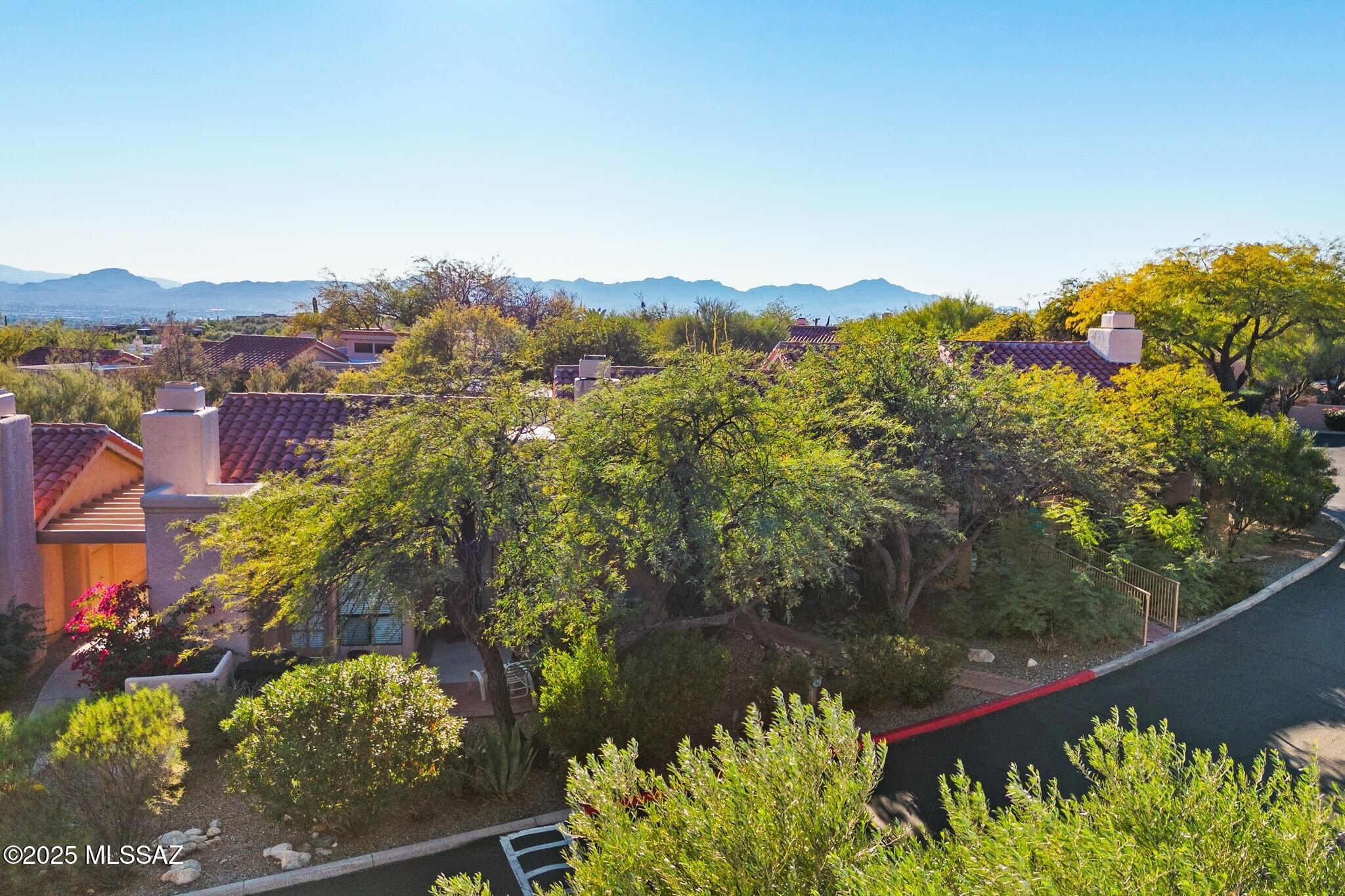 7601 N Calle Sin Envidia 49