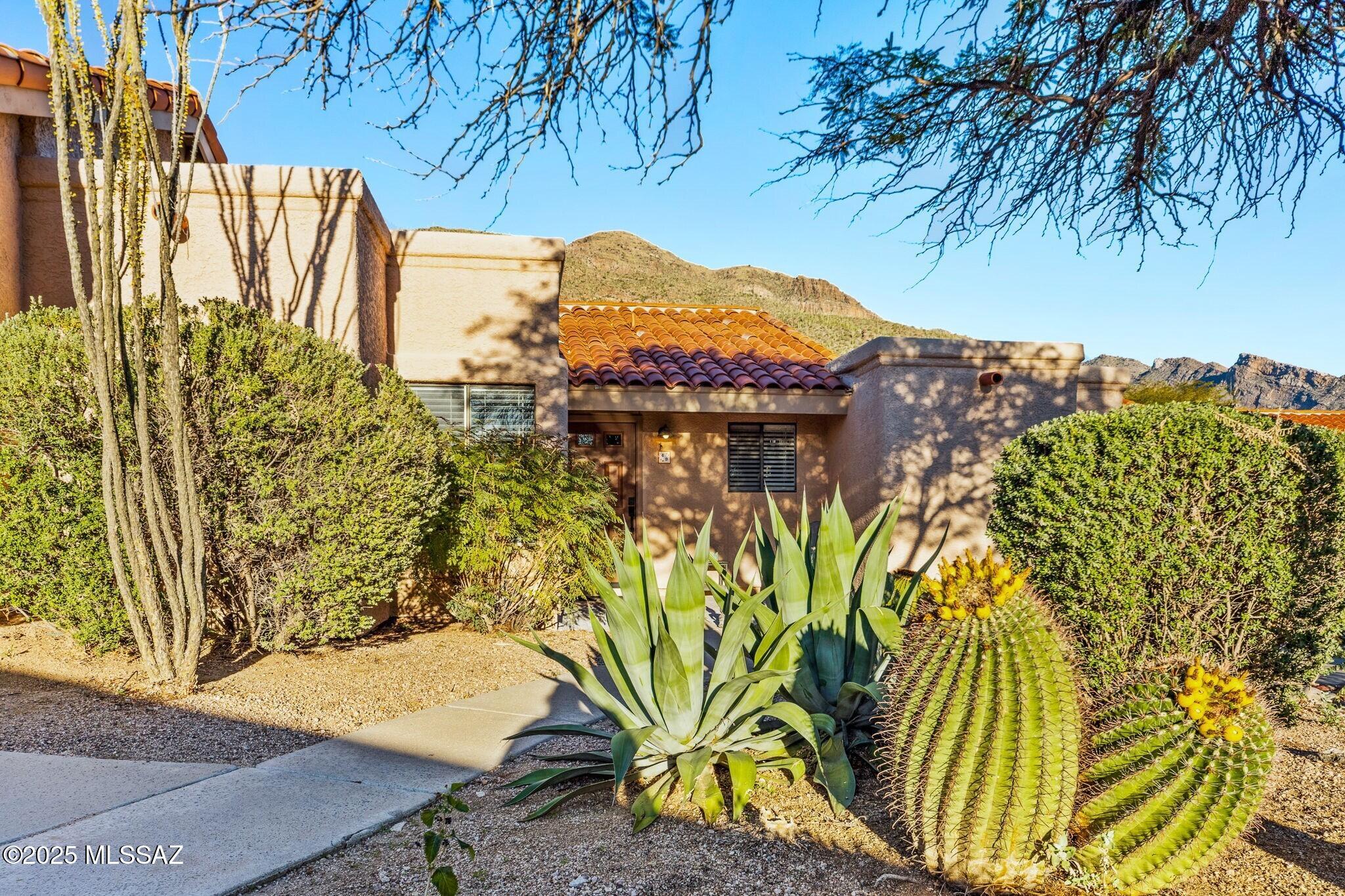 7601 N Calle Sin Envidia 49