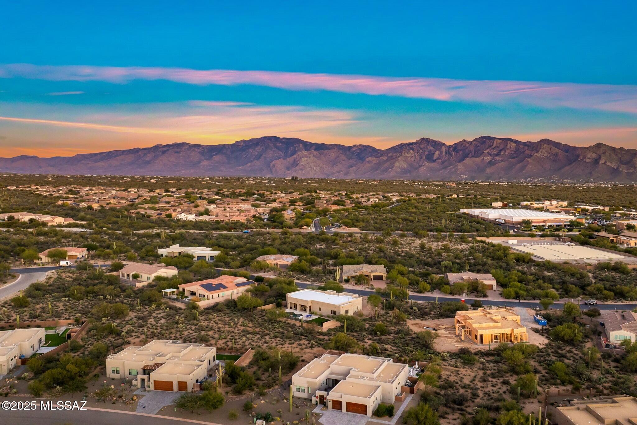 12265 N Durham Wash Drive