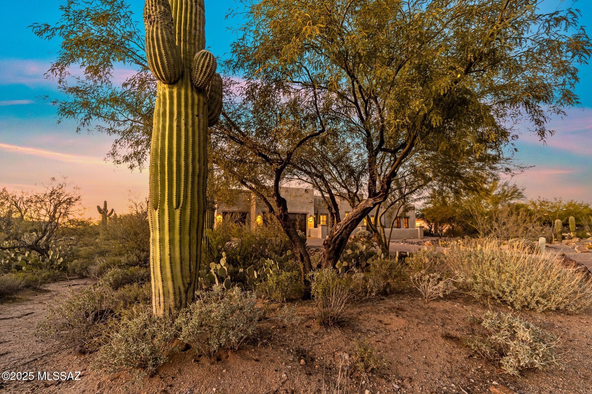 12265 N Durham Wash Drive