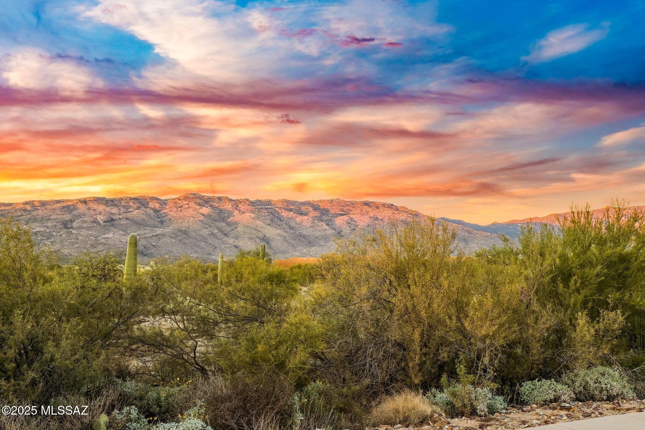 15252 E Tumbling W Ranch Place 133