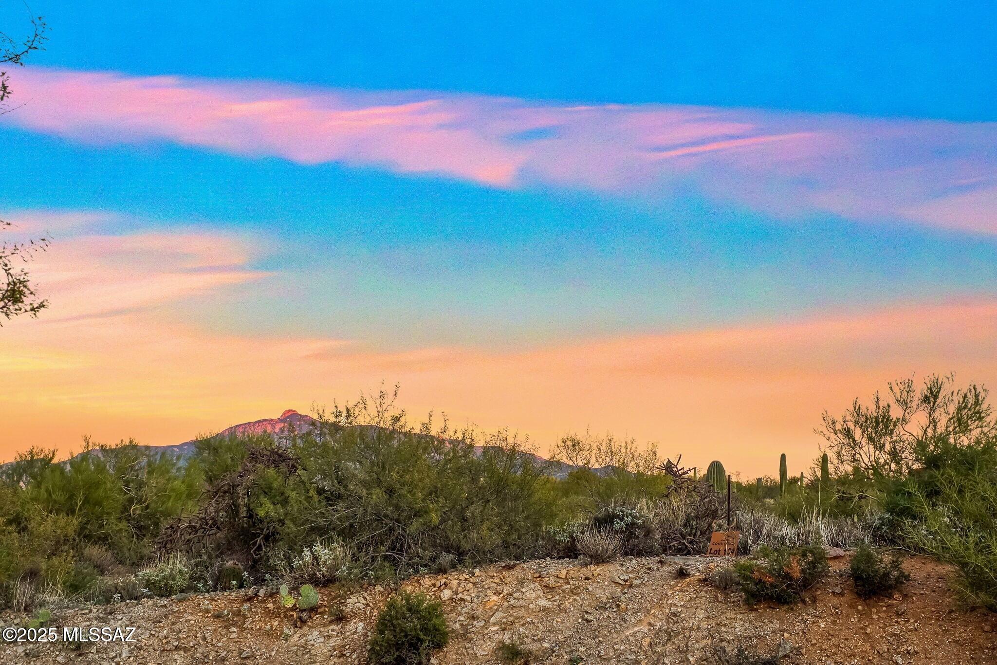 15252 E Tumbling W Ranch Place 133