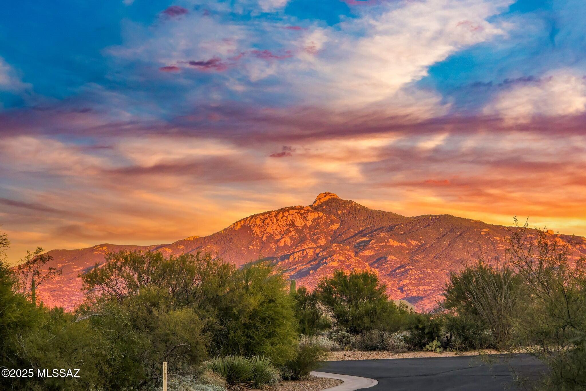 15252 E Tumbling W Ranch Place 133