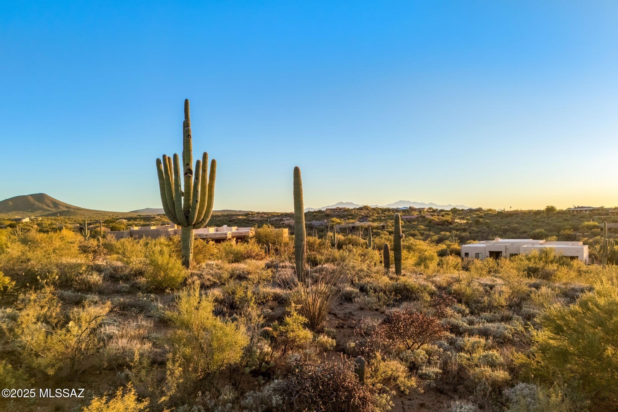 15252 E Tumbling W Ranch Place 133