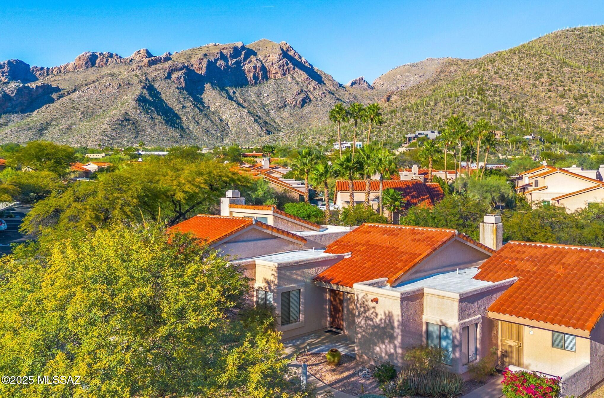 7601 N Calle Sin Envidia 49