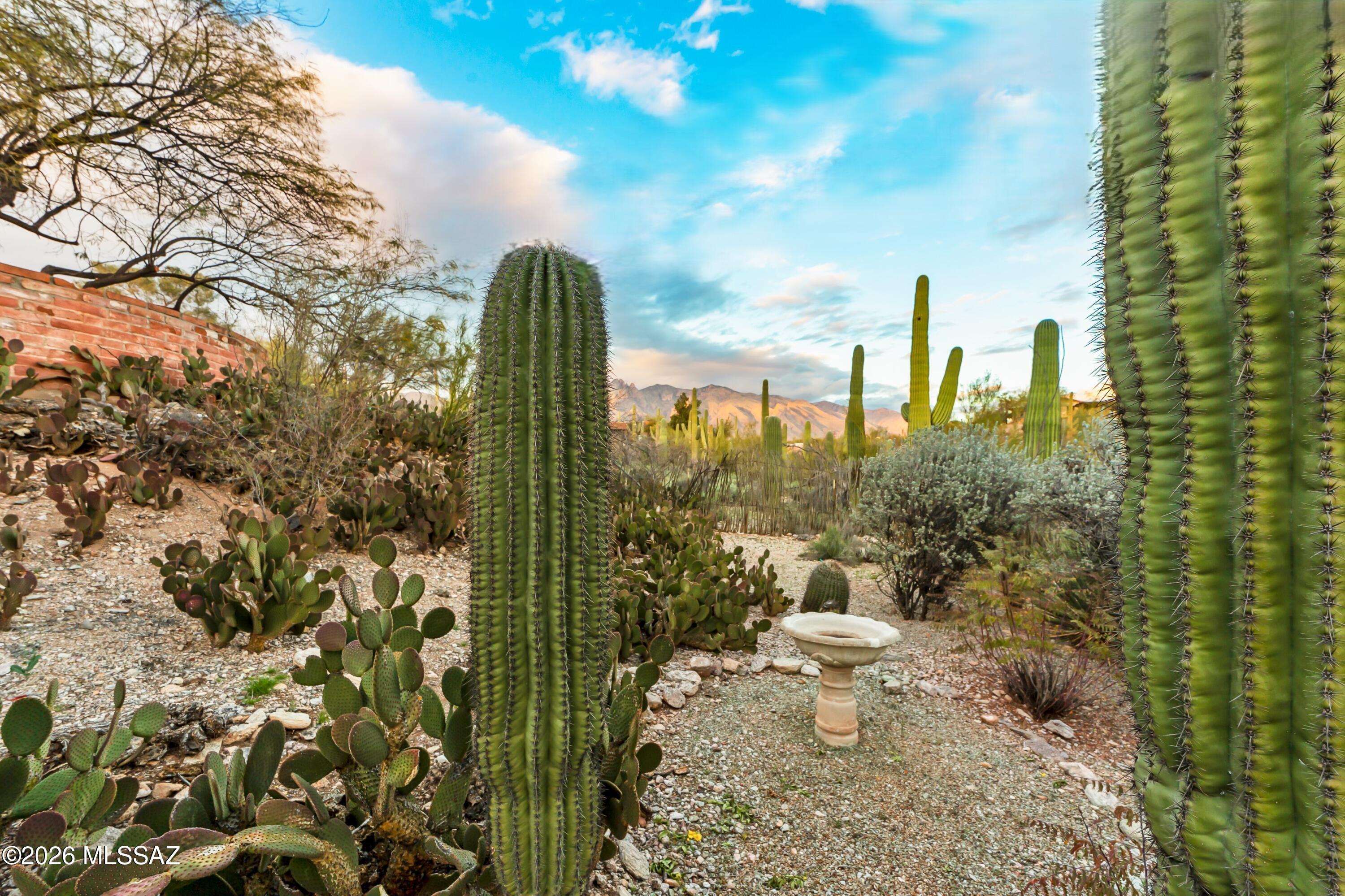 5200 N Calle La Cima