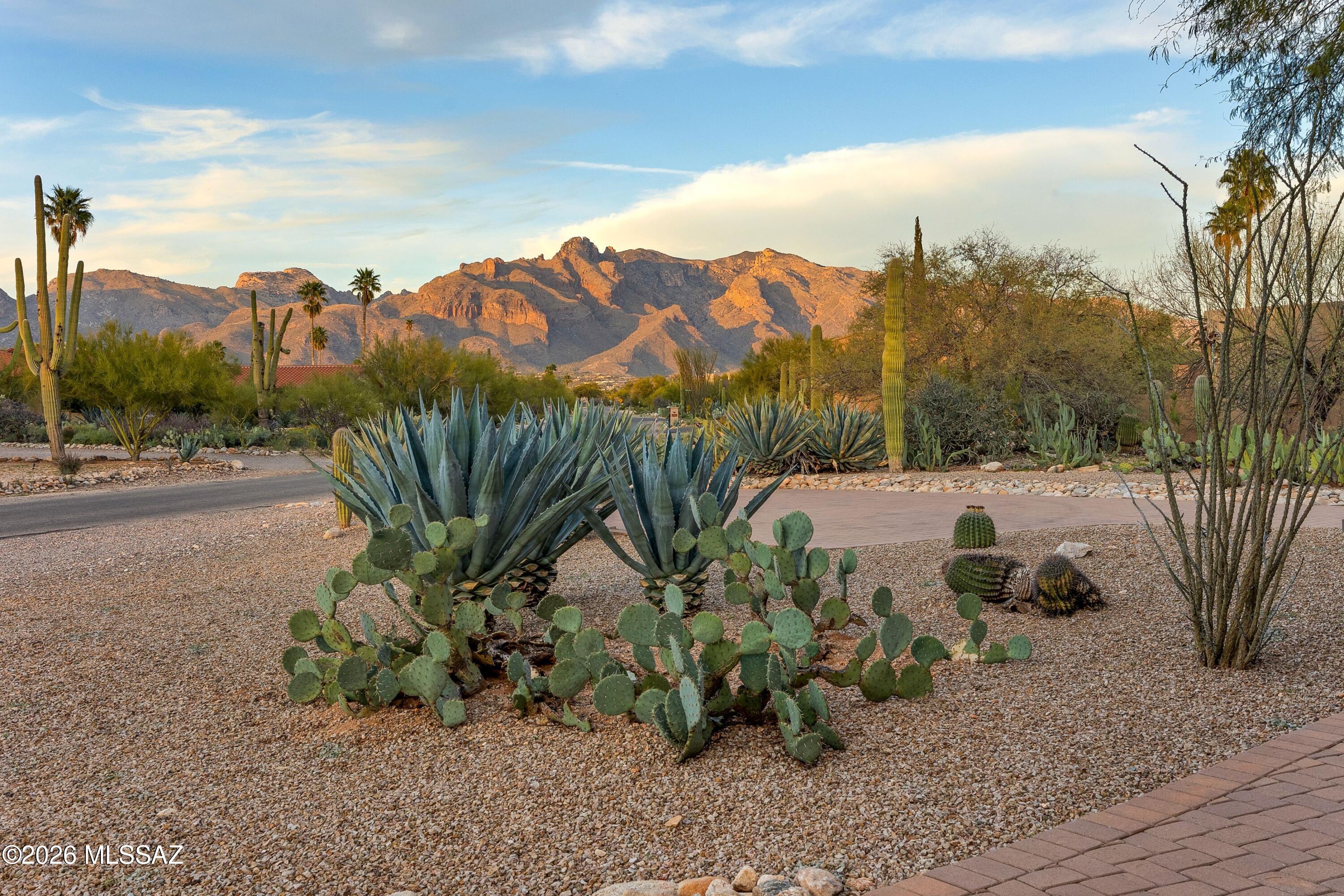 5716 N Camino Arturo