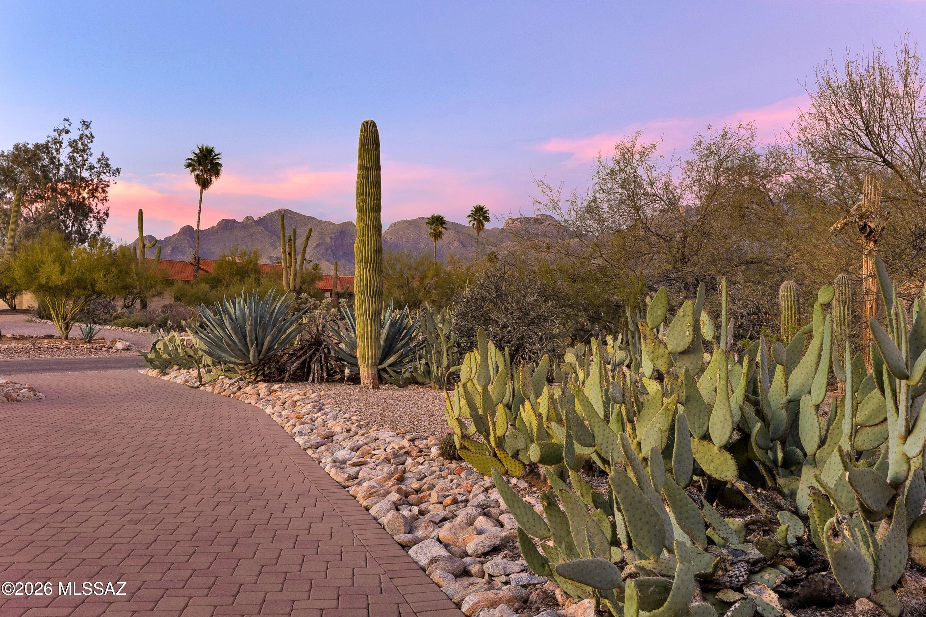 5716 N Camino Arturo