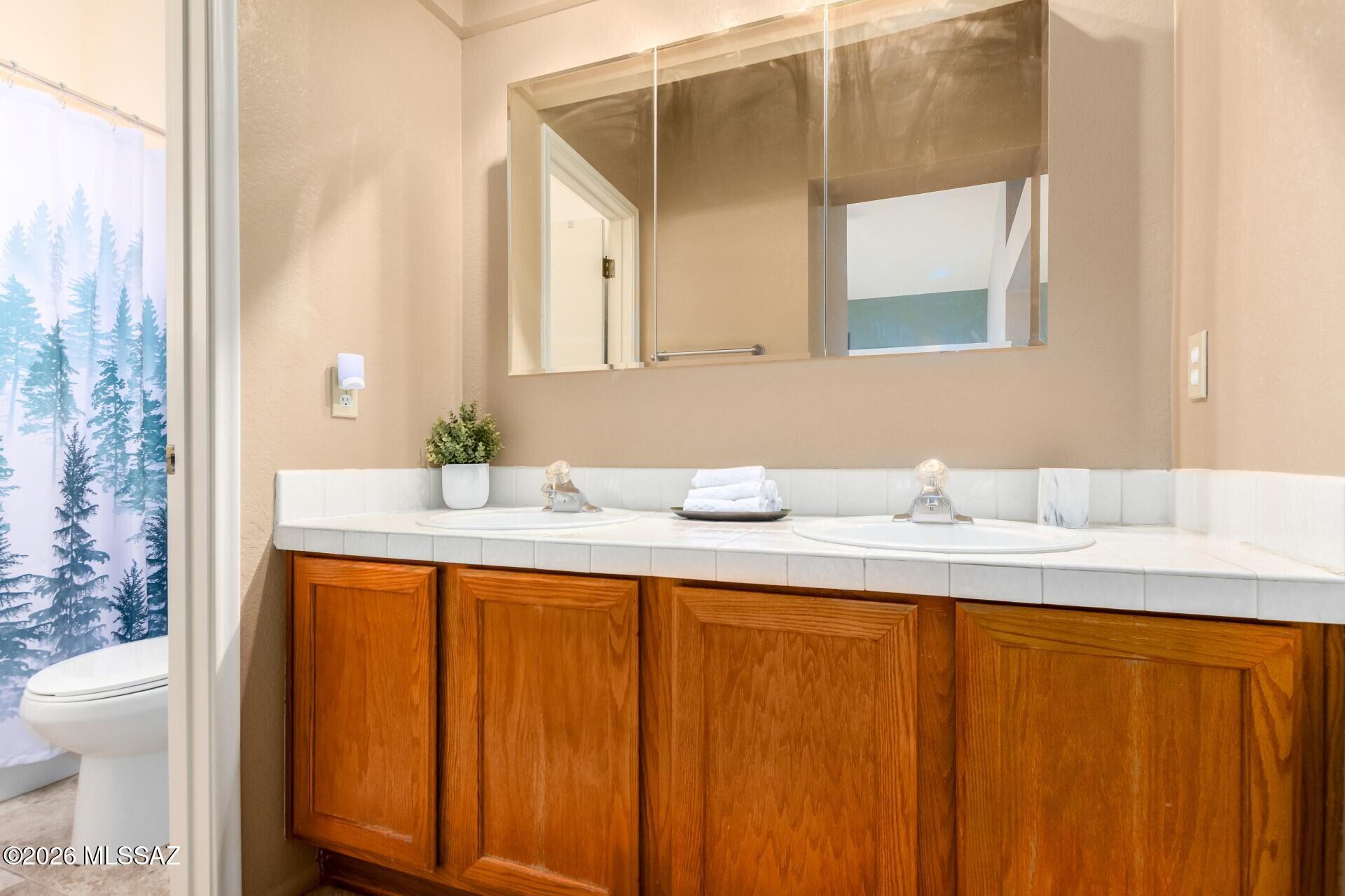 10472 N Fair Mountain Drive