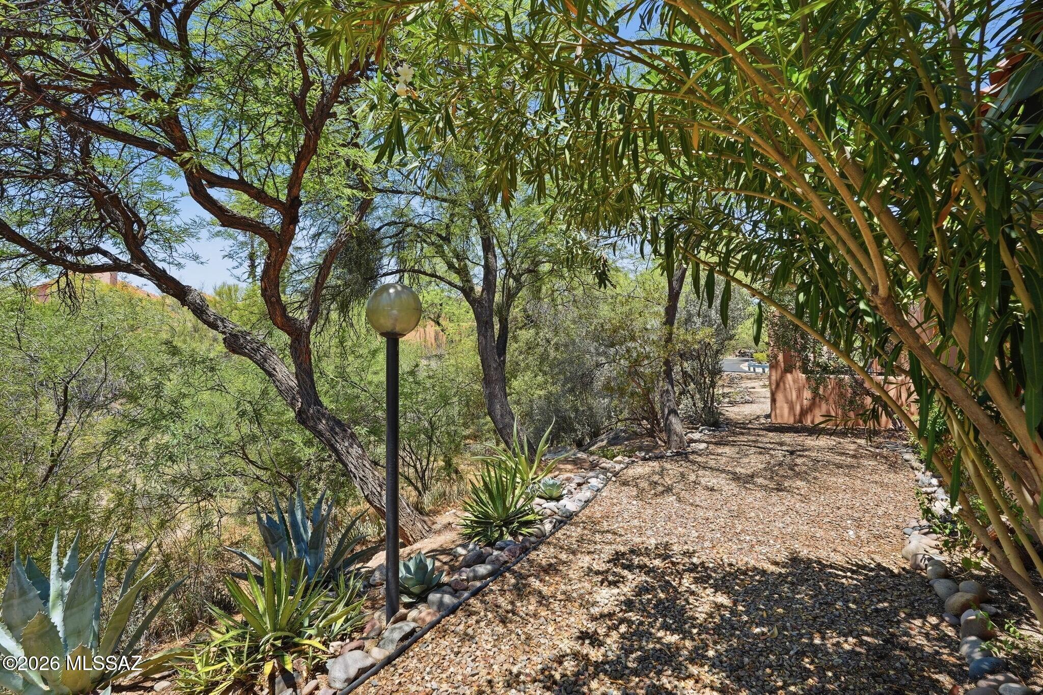 5310 N Paseo De La Terraza
