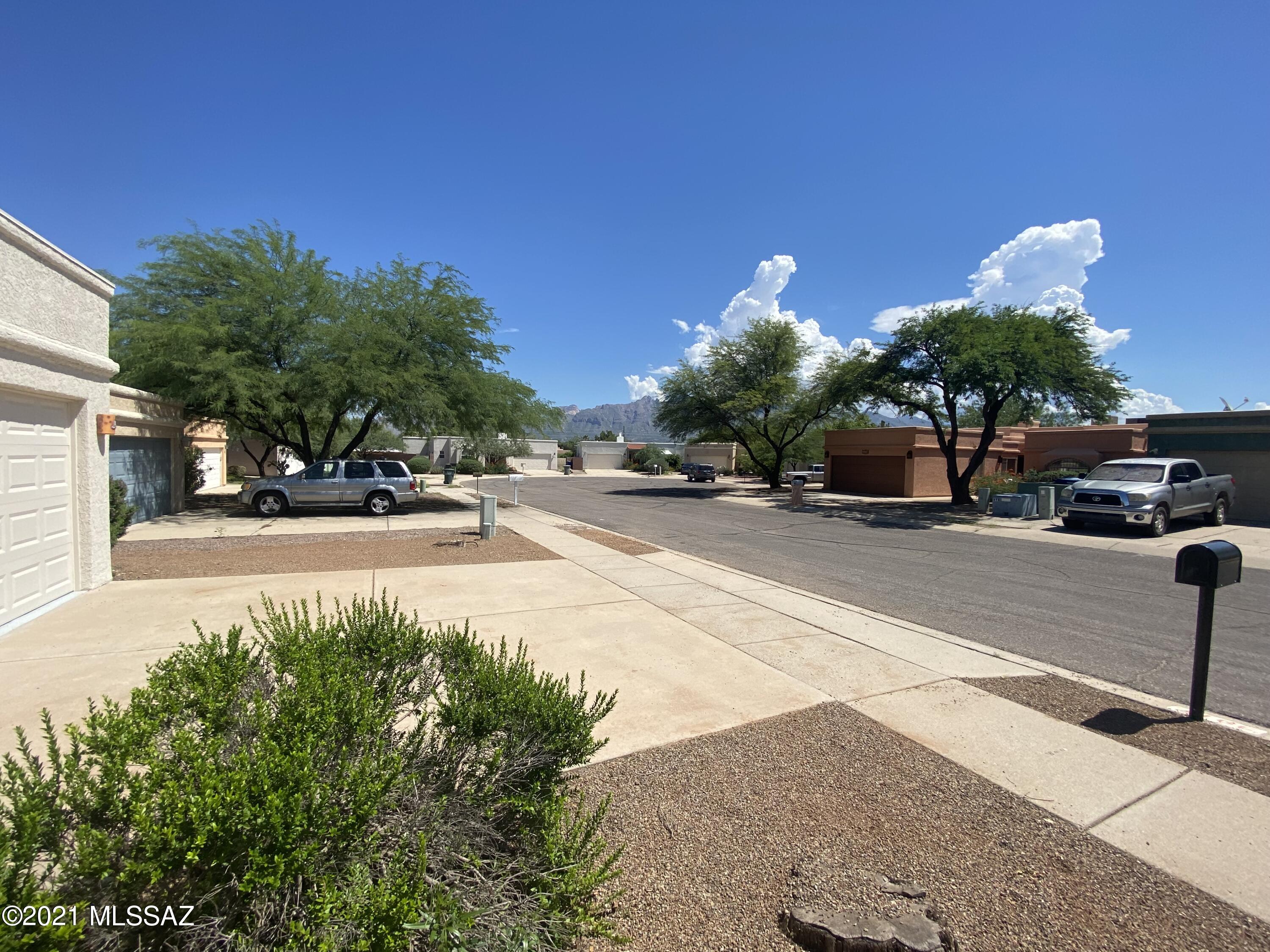 3911 N Vine Tree Place