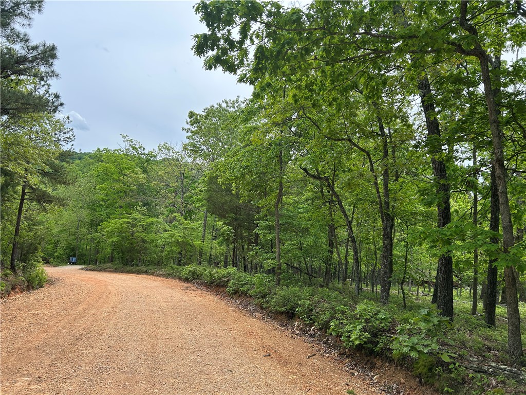 Arabian Lane
