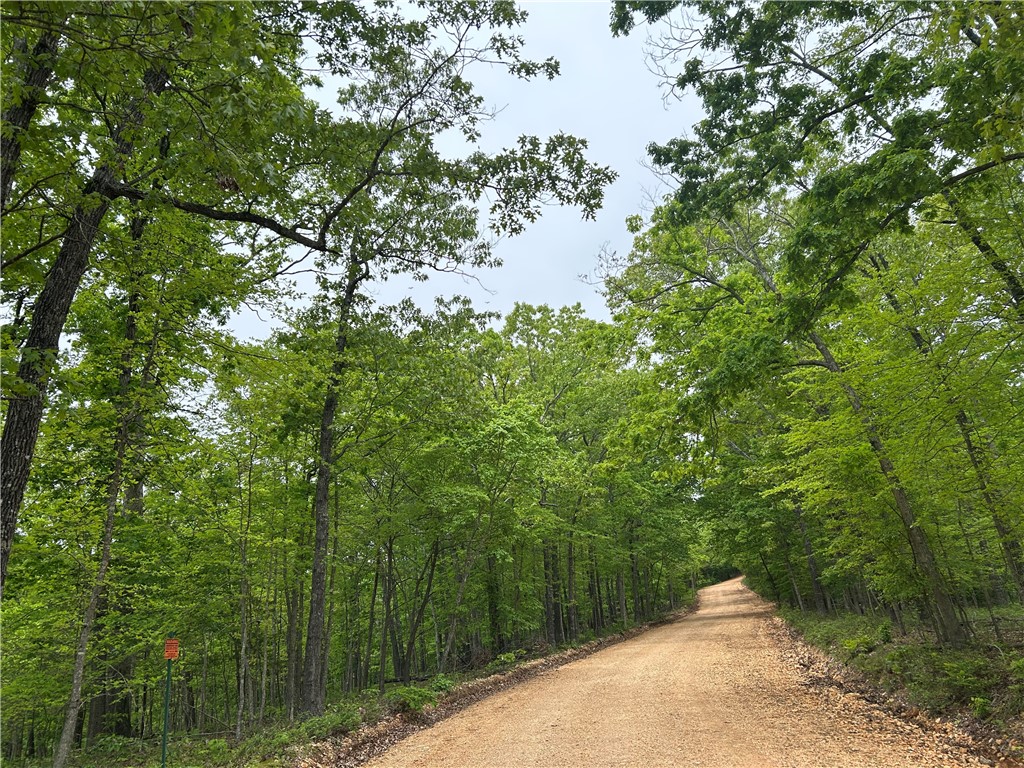 Arabian Lane
