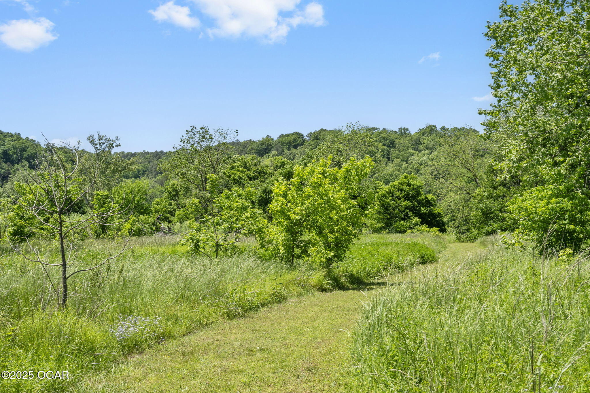 267/271 Knox Lane 19+/- Acres