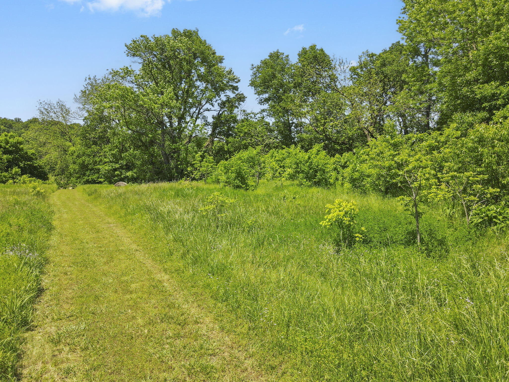 267/271 Knox Lane 19+/- Acres Lane