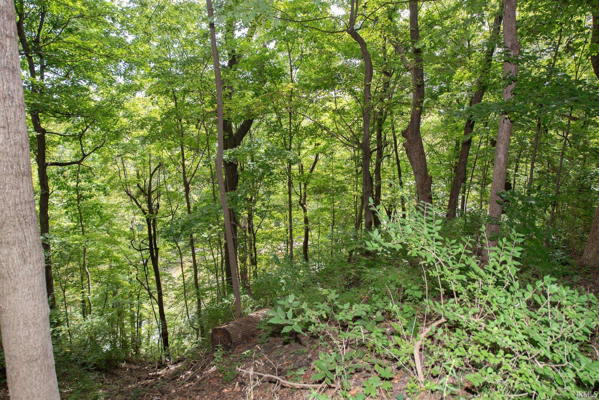 3501 Creek Ridge Drive