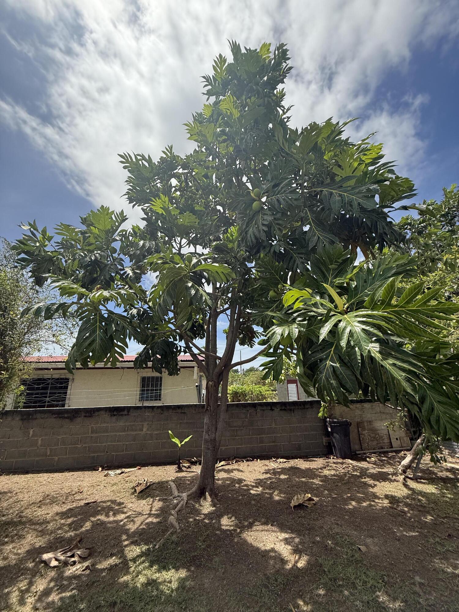 133 Strawberry Hill QU, St. Croix