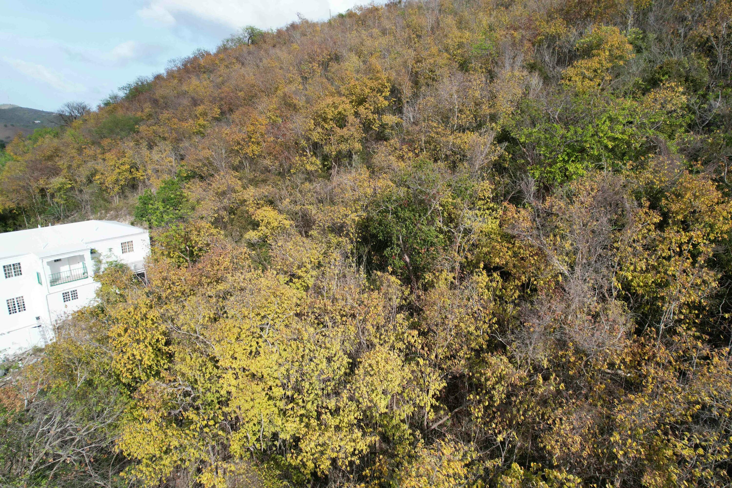 27,27A,28A Work & Rest CO, St. Croix
