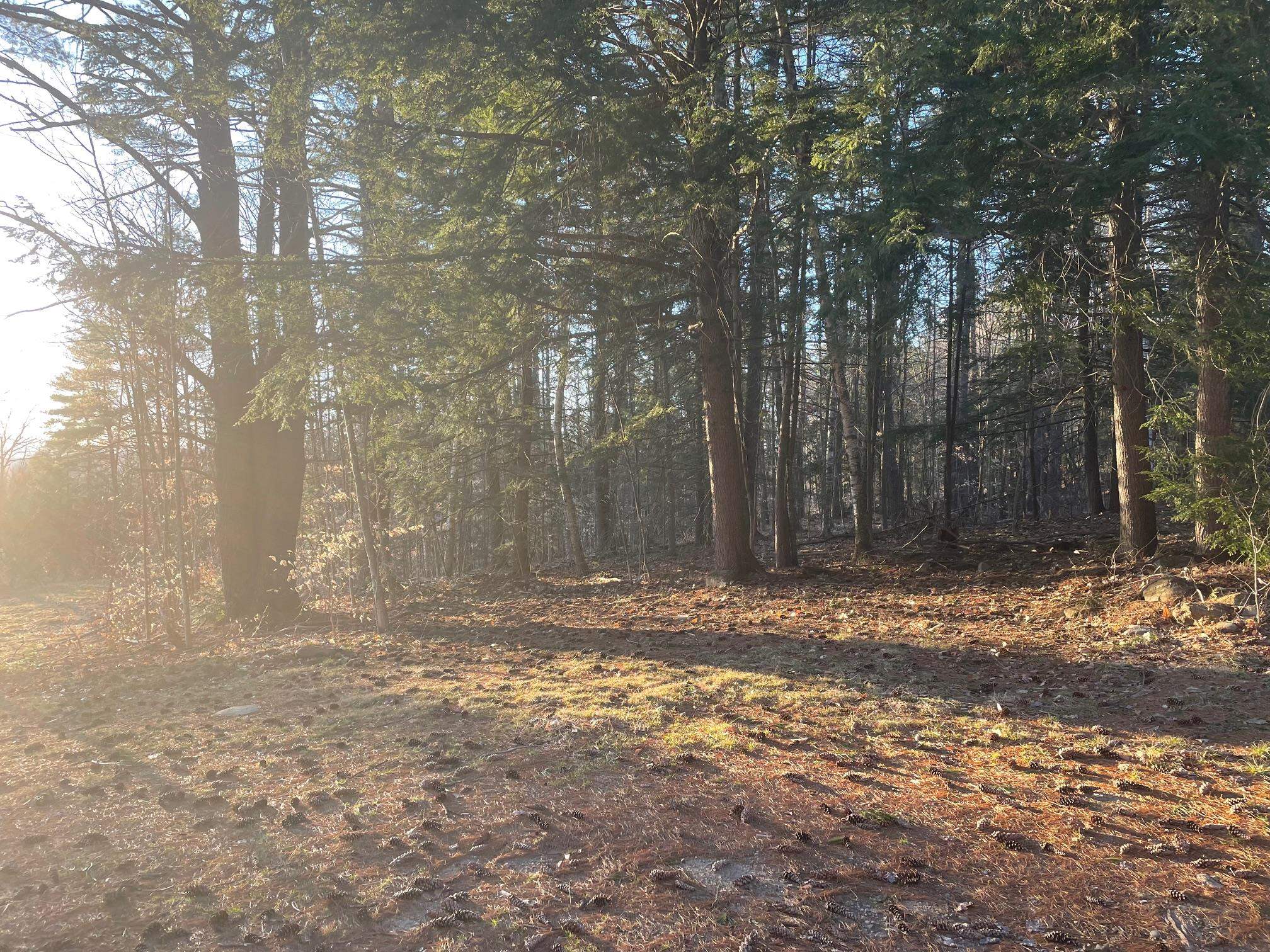 00 Pinnacle Ridge Road