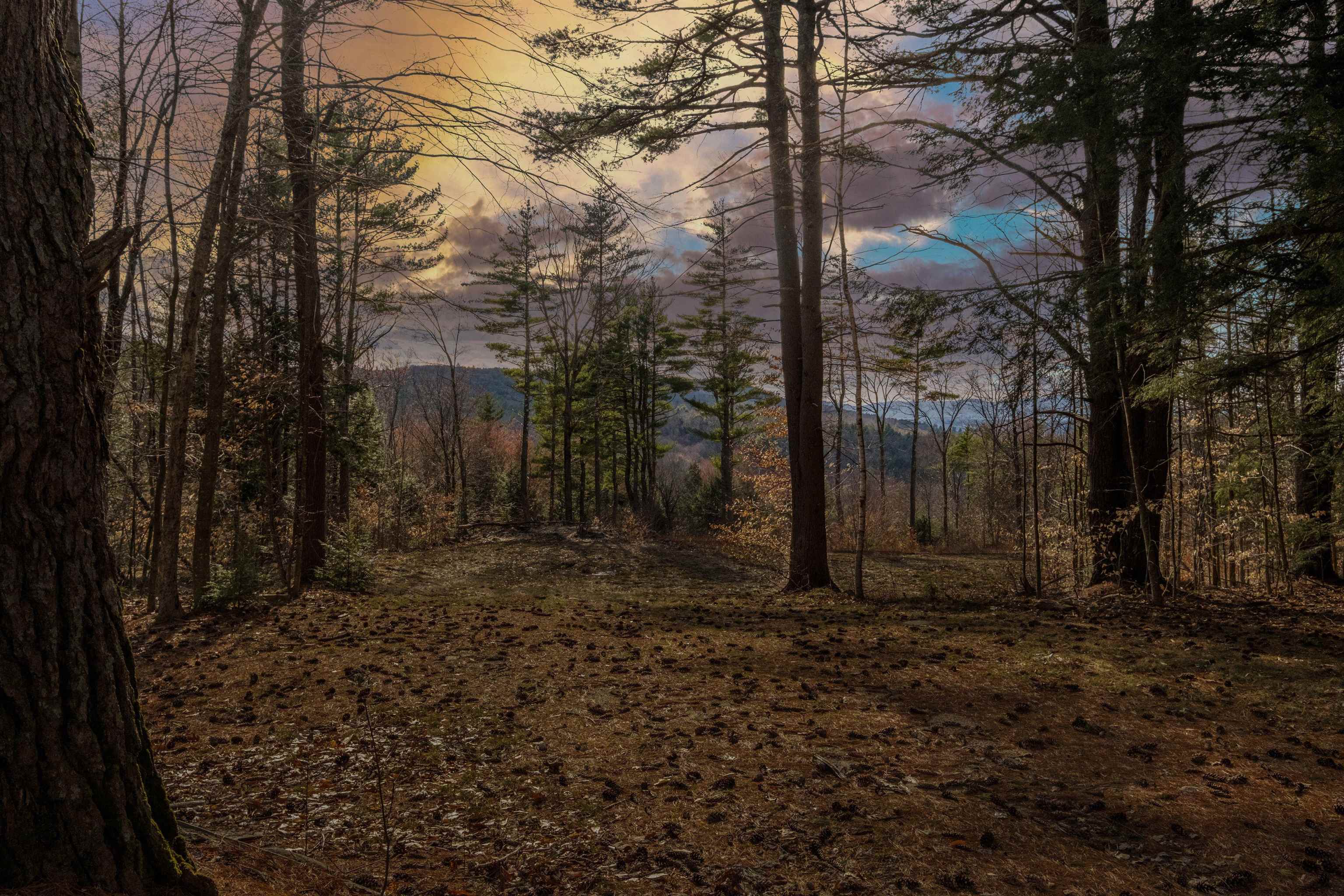 00 Pinnacle Ridge Road