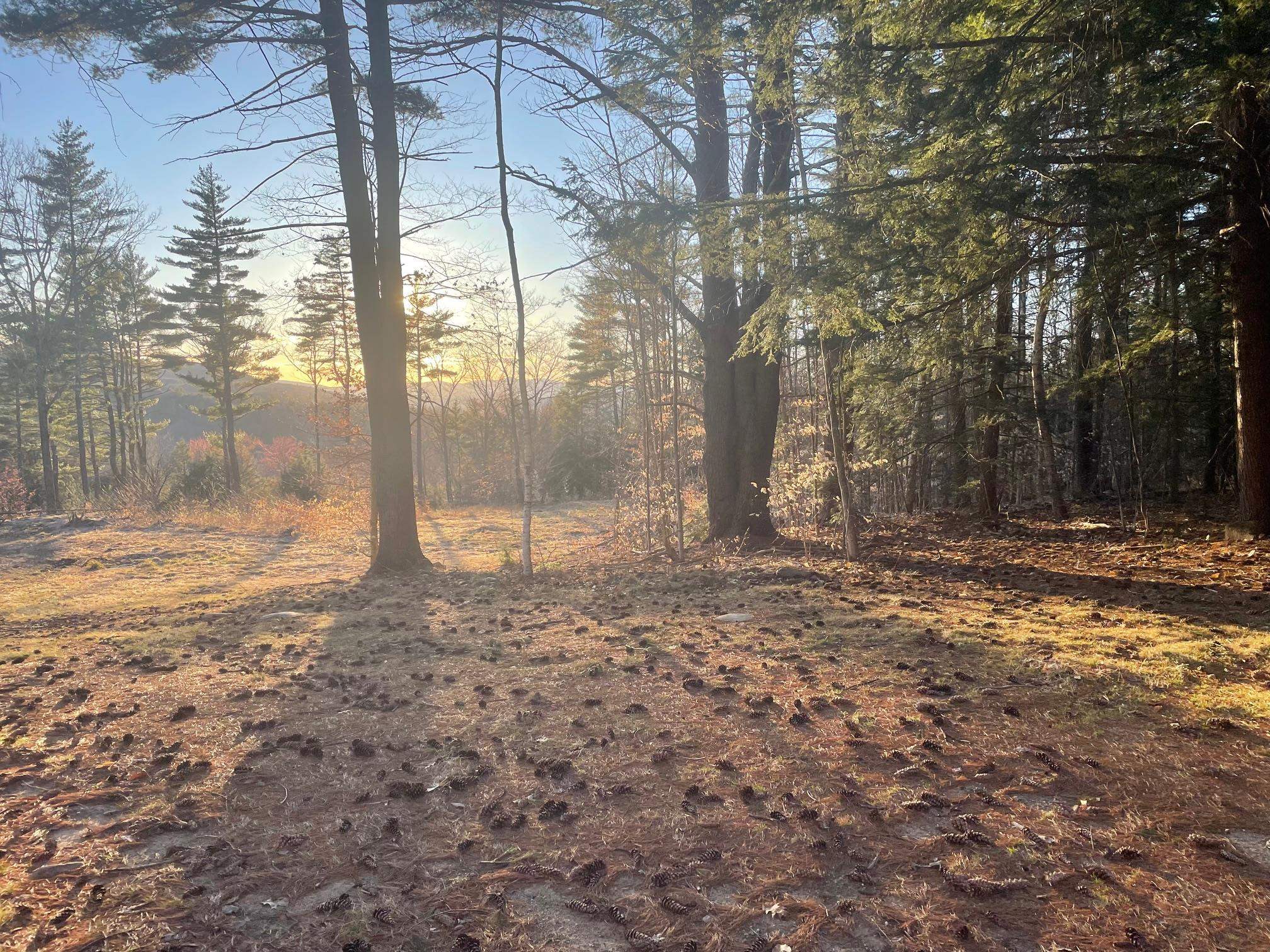 00 Pinnacle Ridge Road