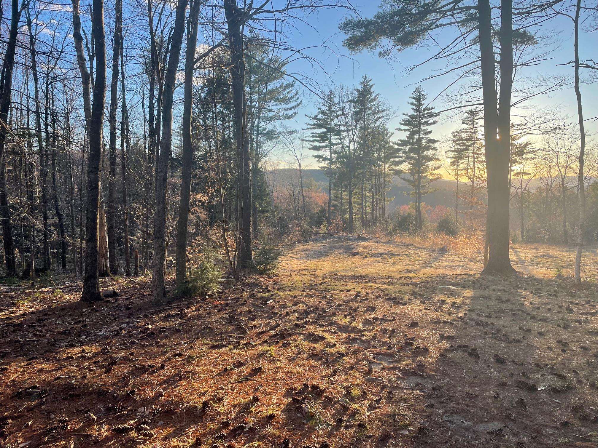 00 Pinnacle Ridge Road