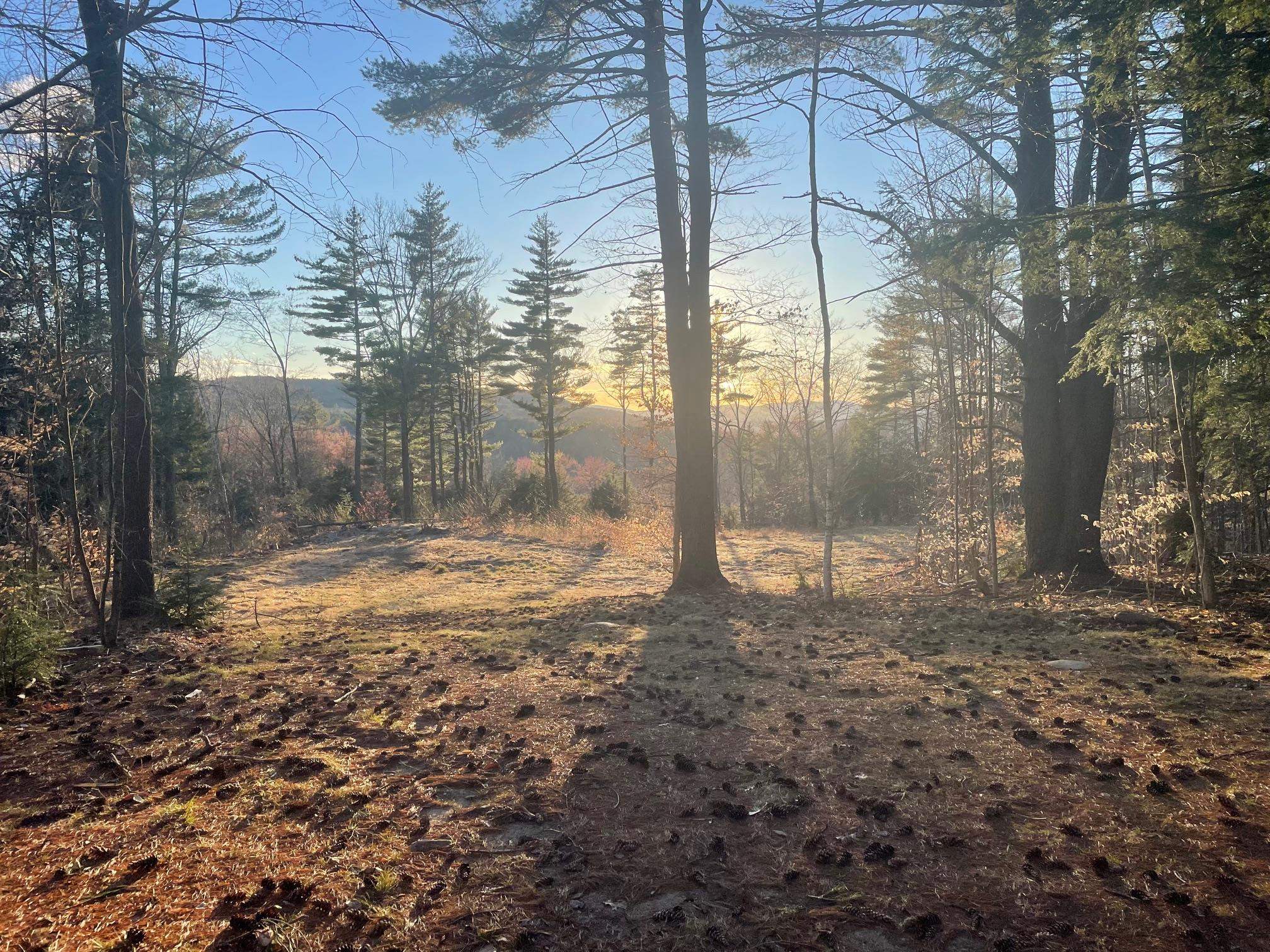 00 Pinnacle Ridge Road