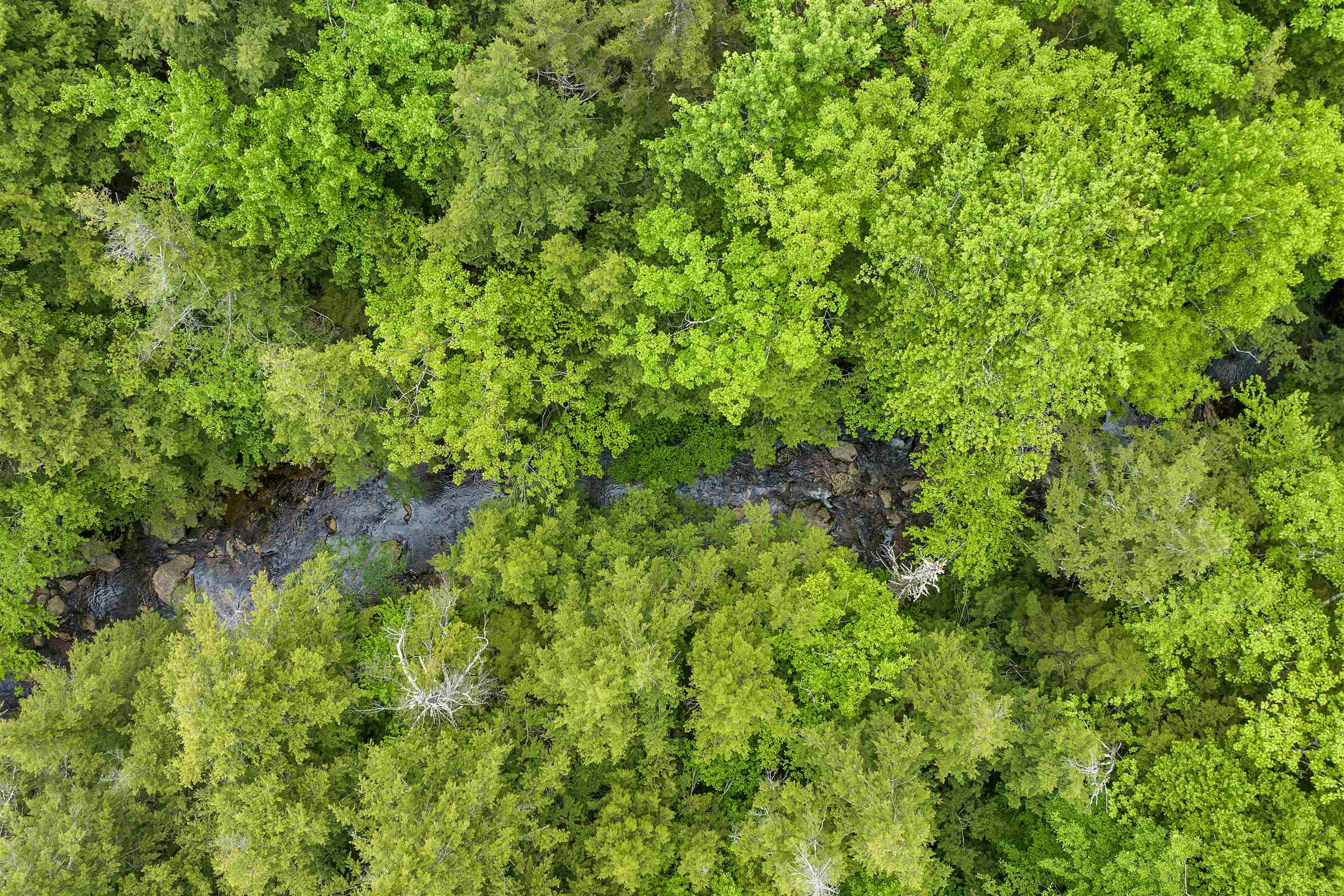 Lot 54-55 Hannah Road