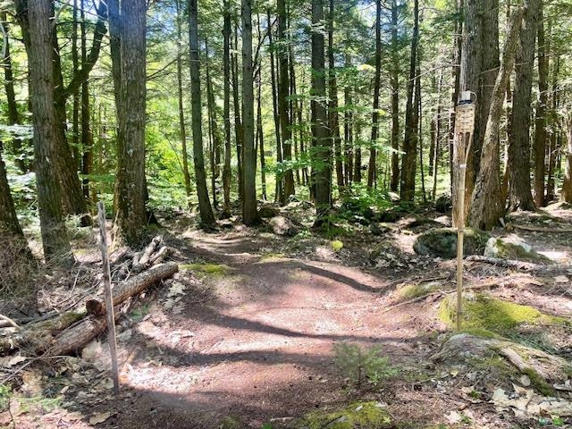 Lot 54-55 Hannah Road