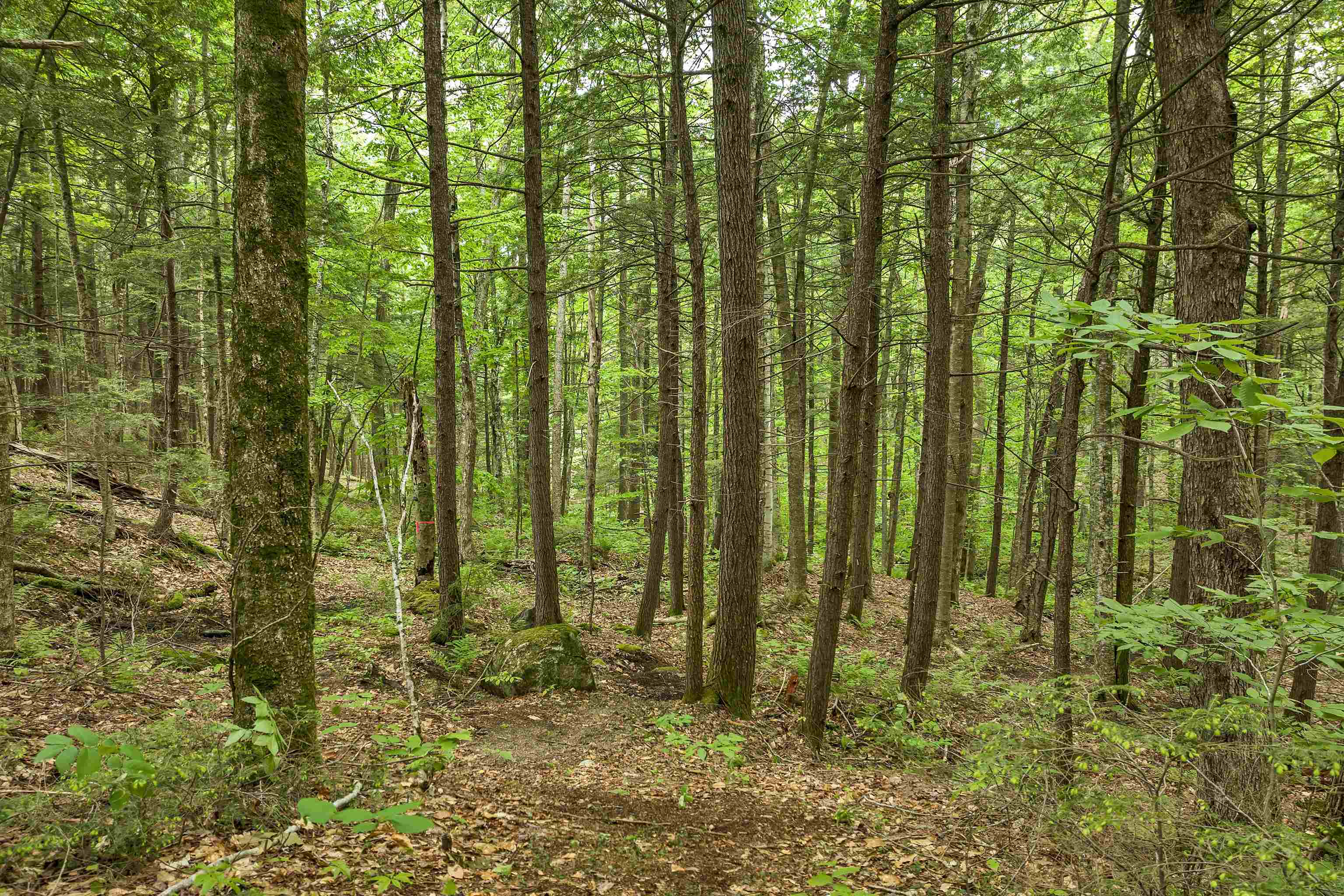 Lot 54-55 Hannah Road