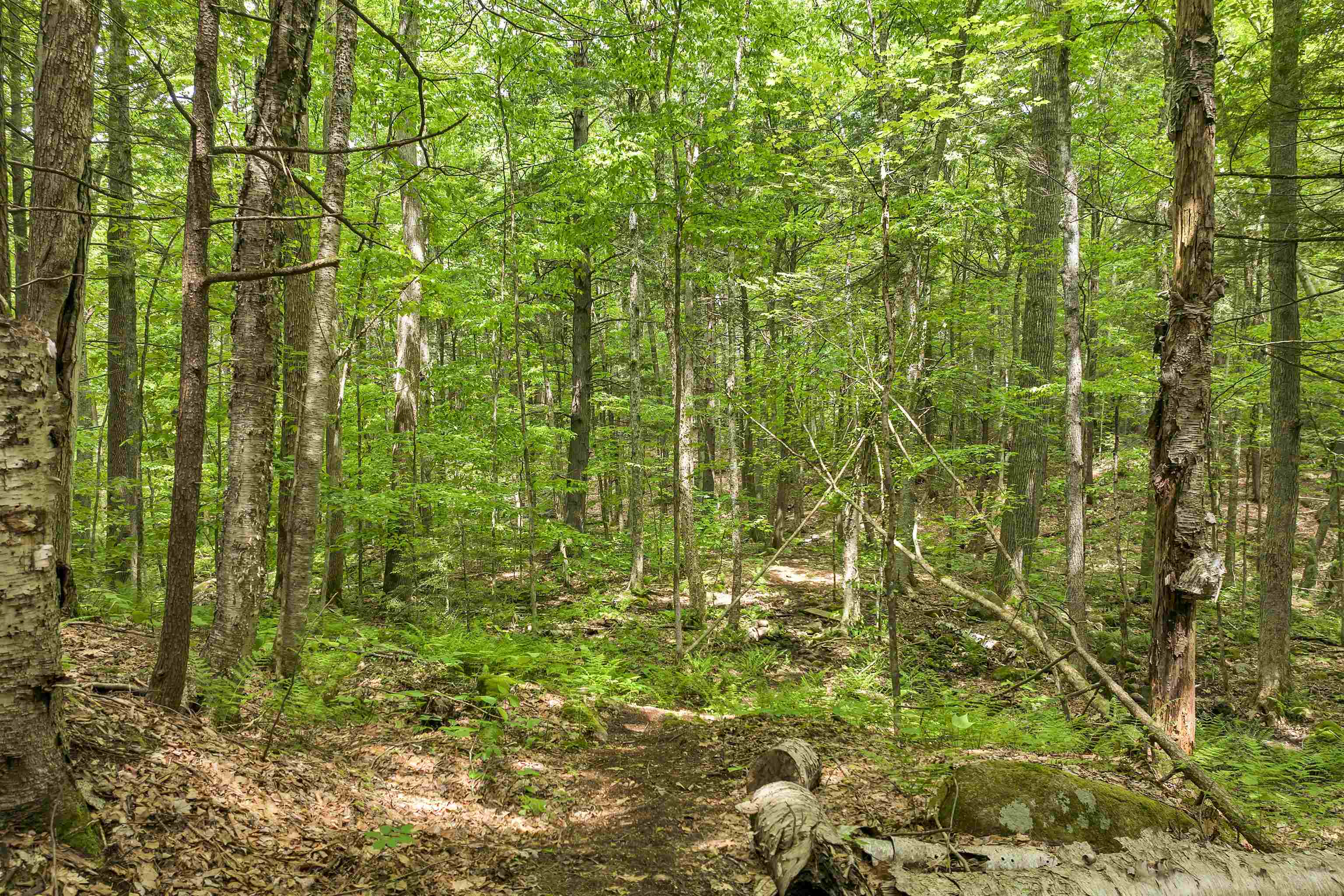 Lot 54-55 Hannah Road