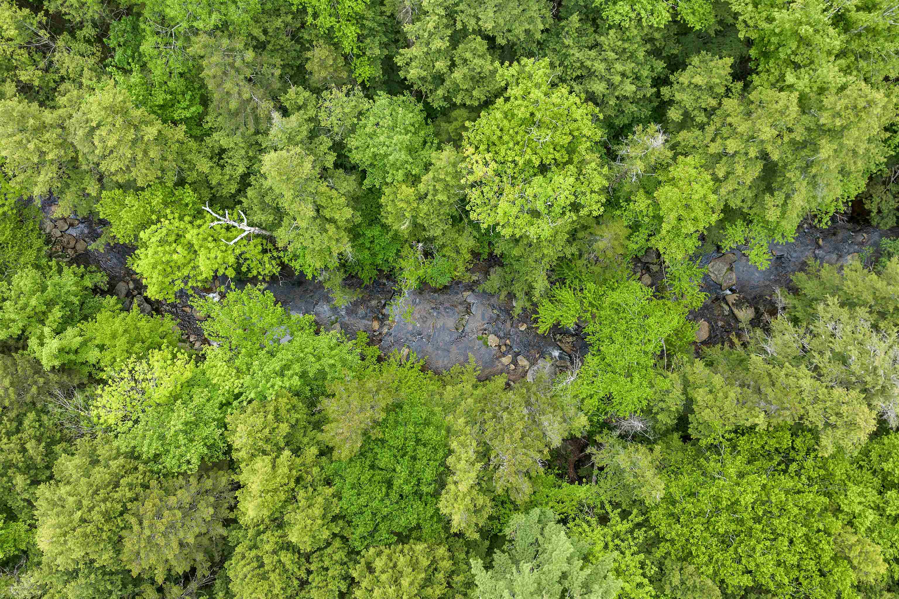 Lot 54-55 Hannah Road