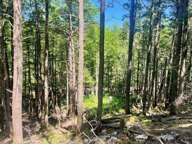 Lot 54-55 Hannah Road